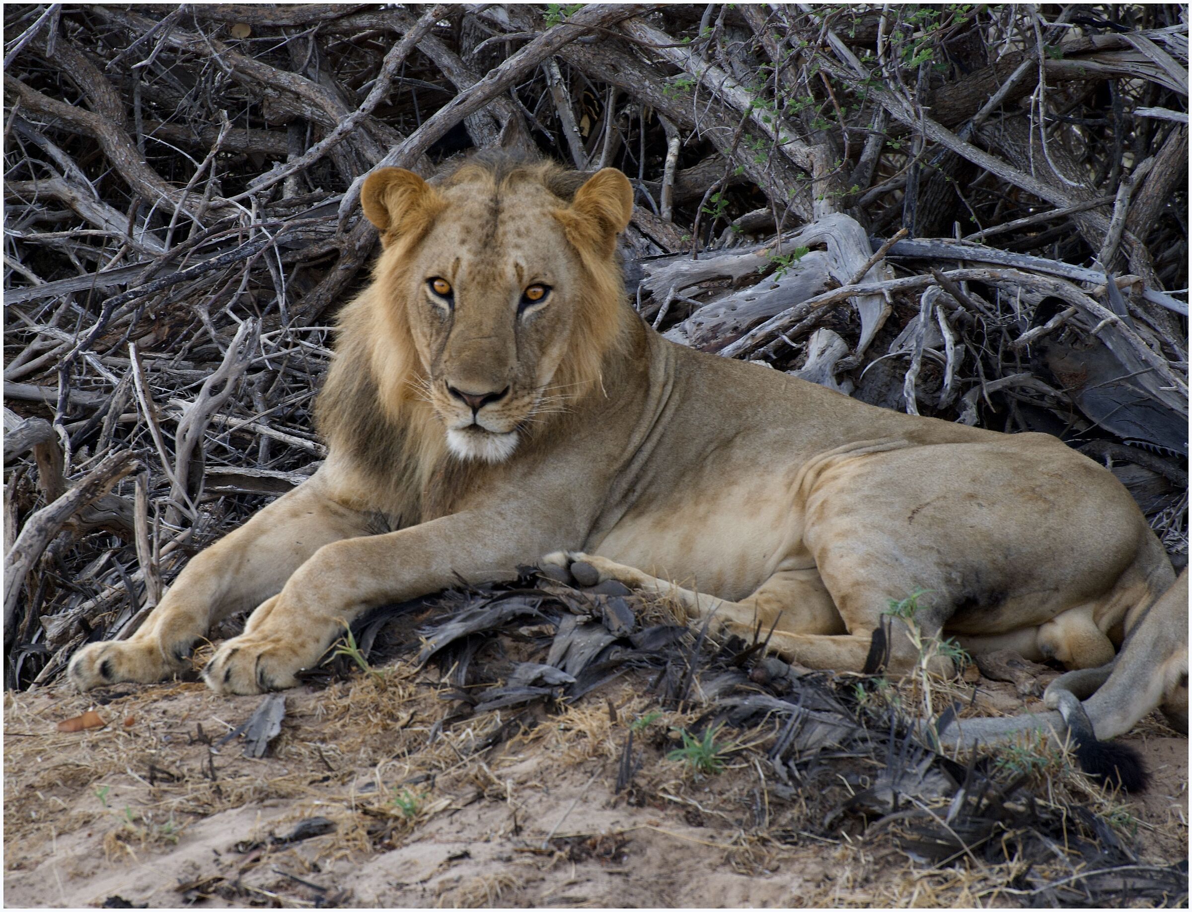 Kenya