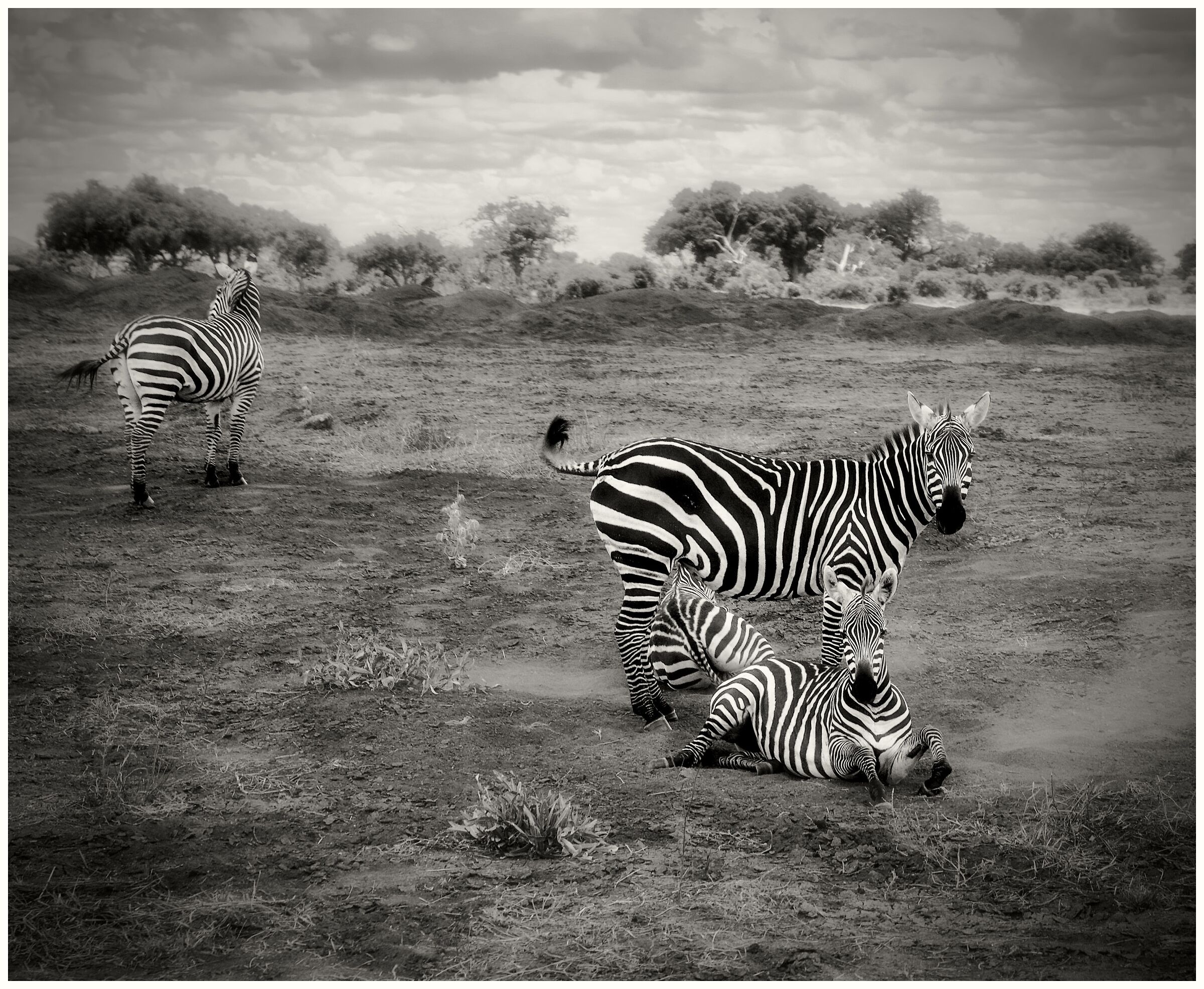 Kenya