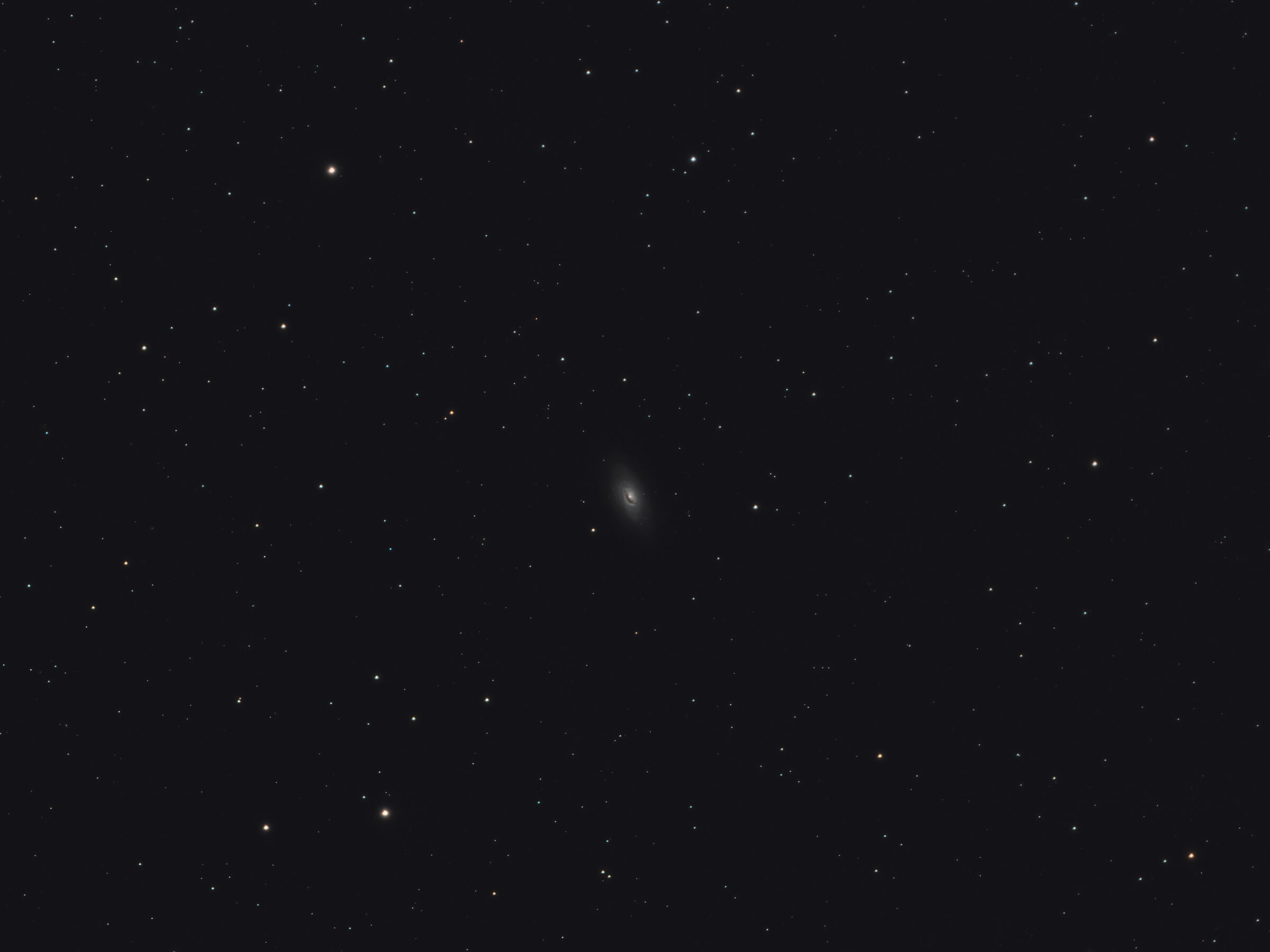 M64