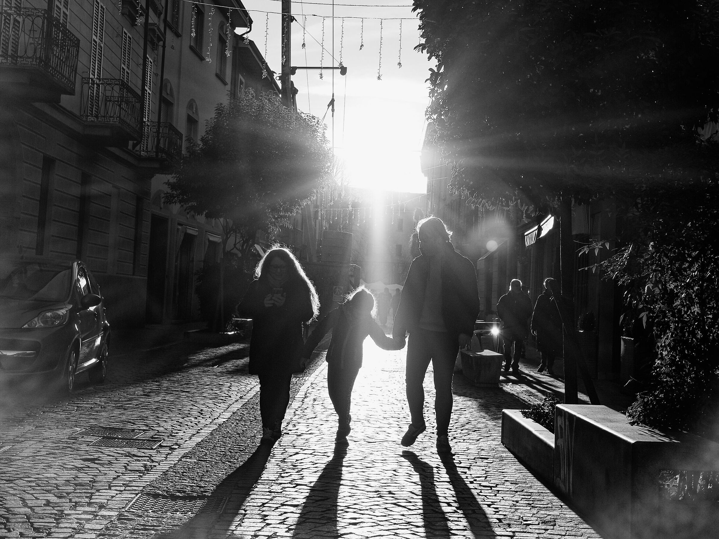 LODI_2023 (_DSF2657-1)