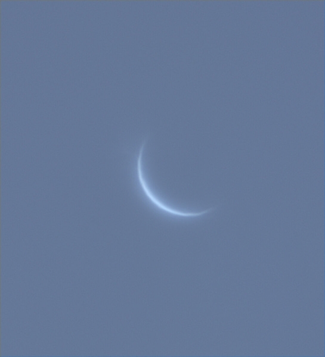 Falcetto di Venere in pieno giorno