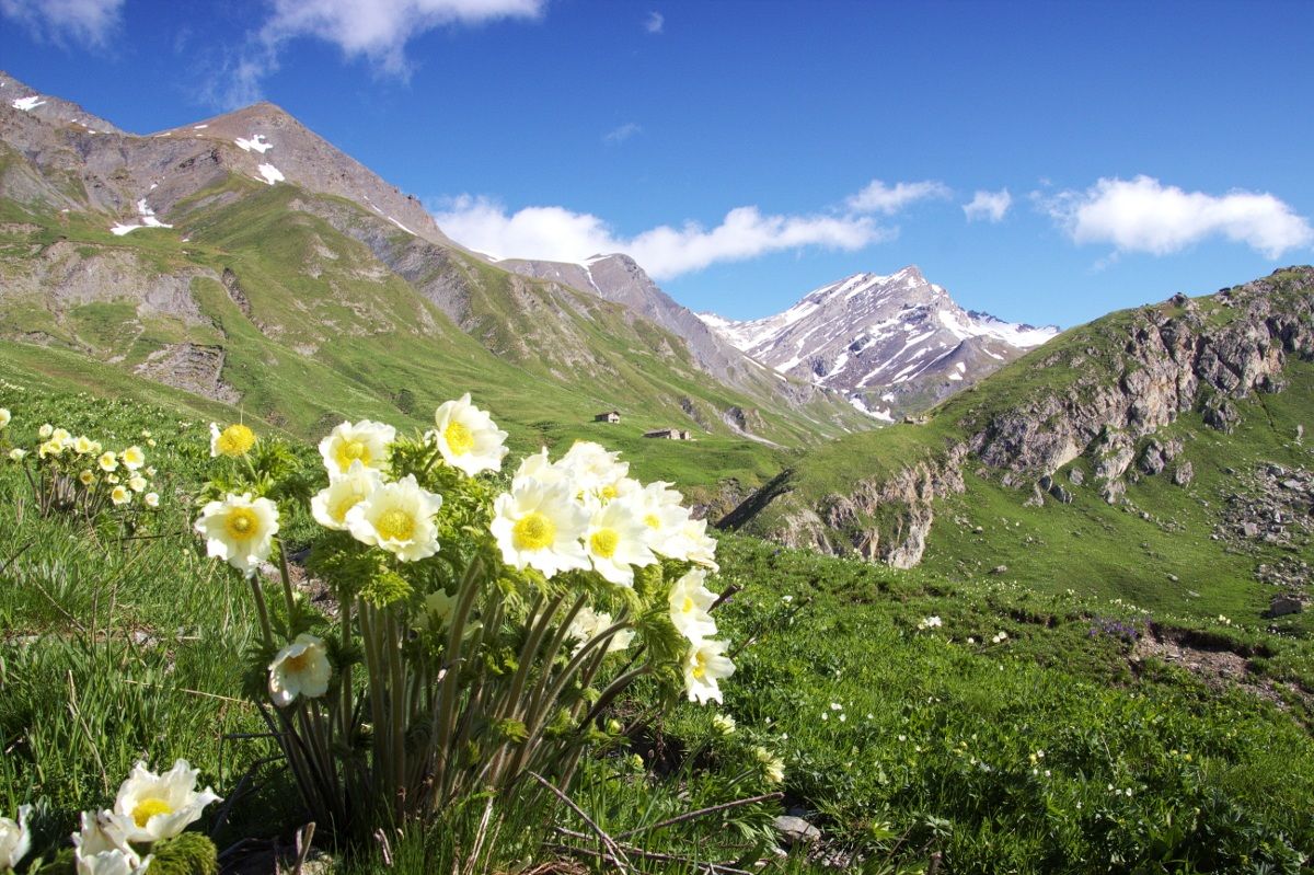 Vallone di Rui alta valle di Bellino