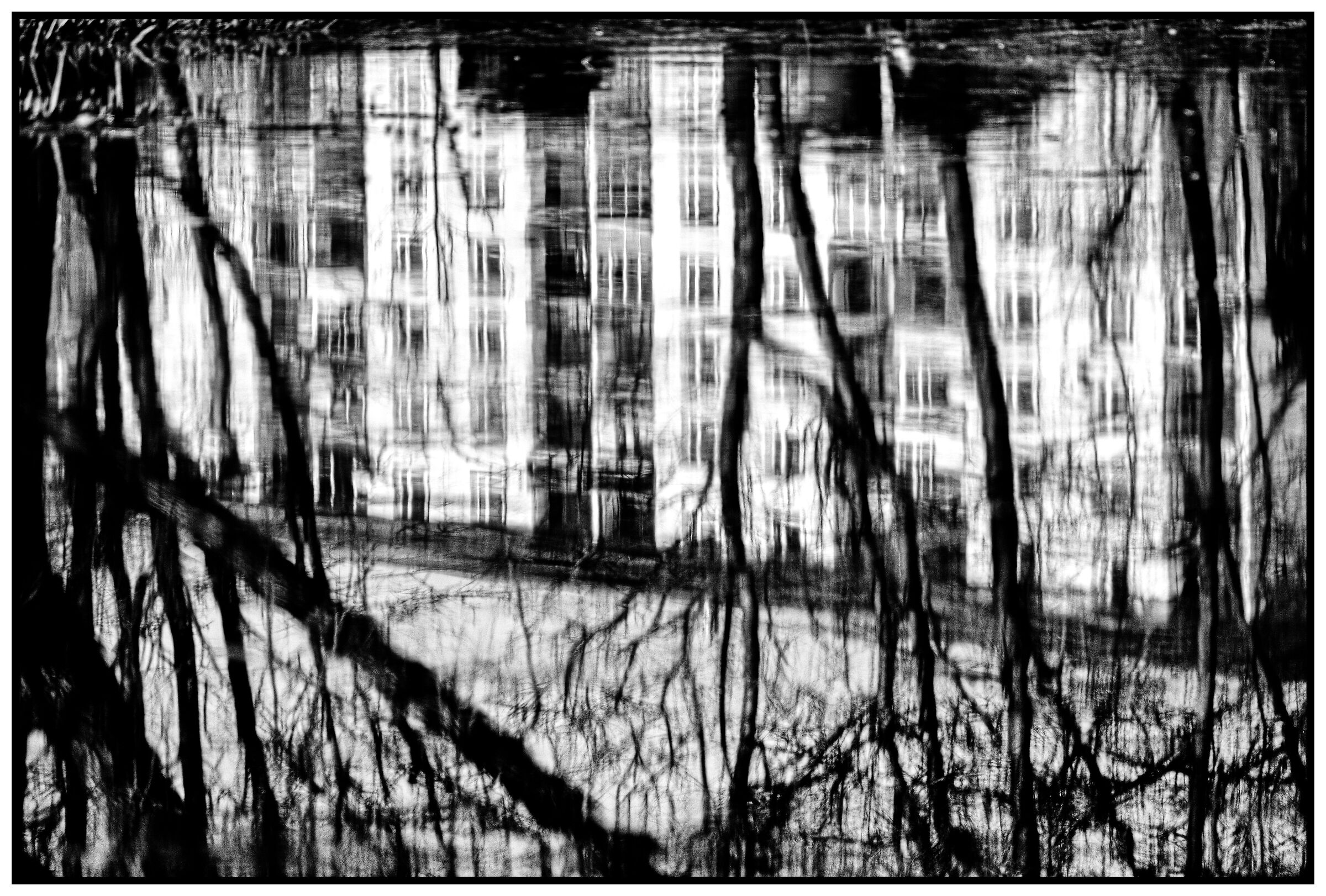 black and white