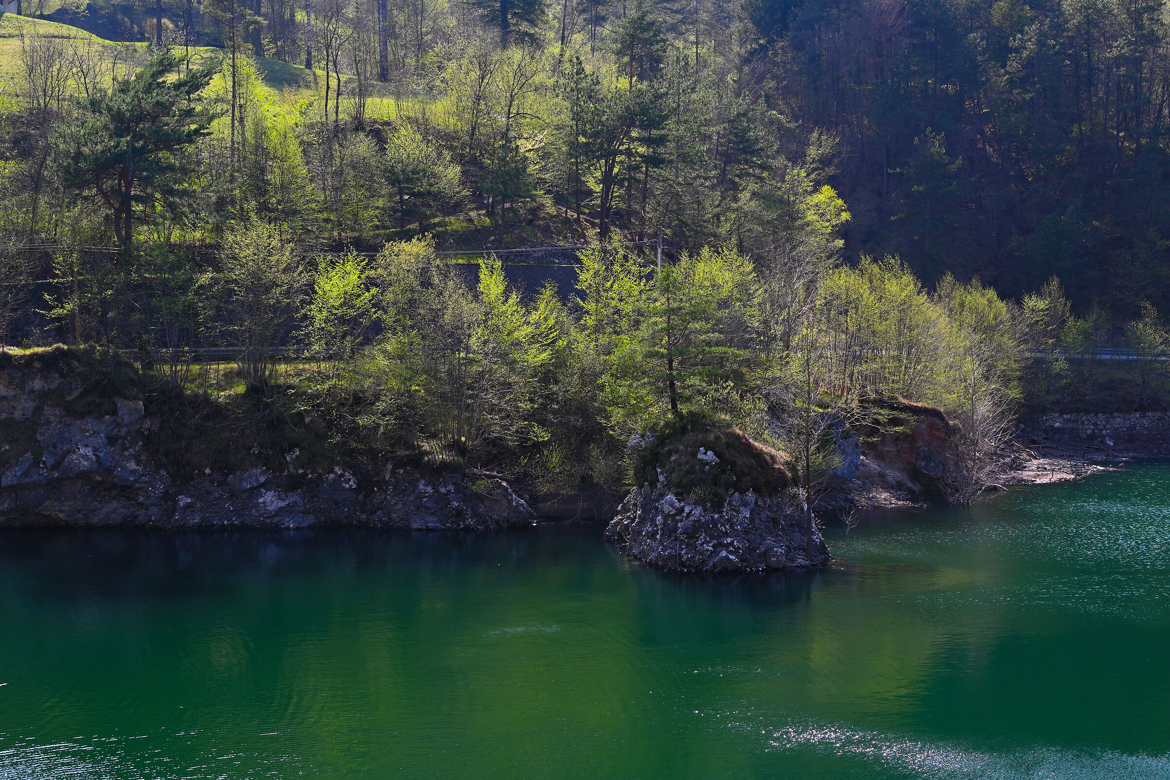 Untitled Photo