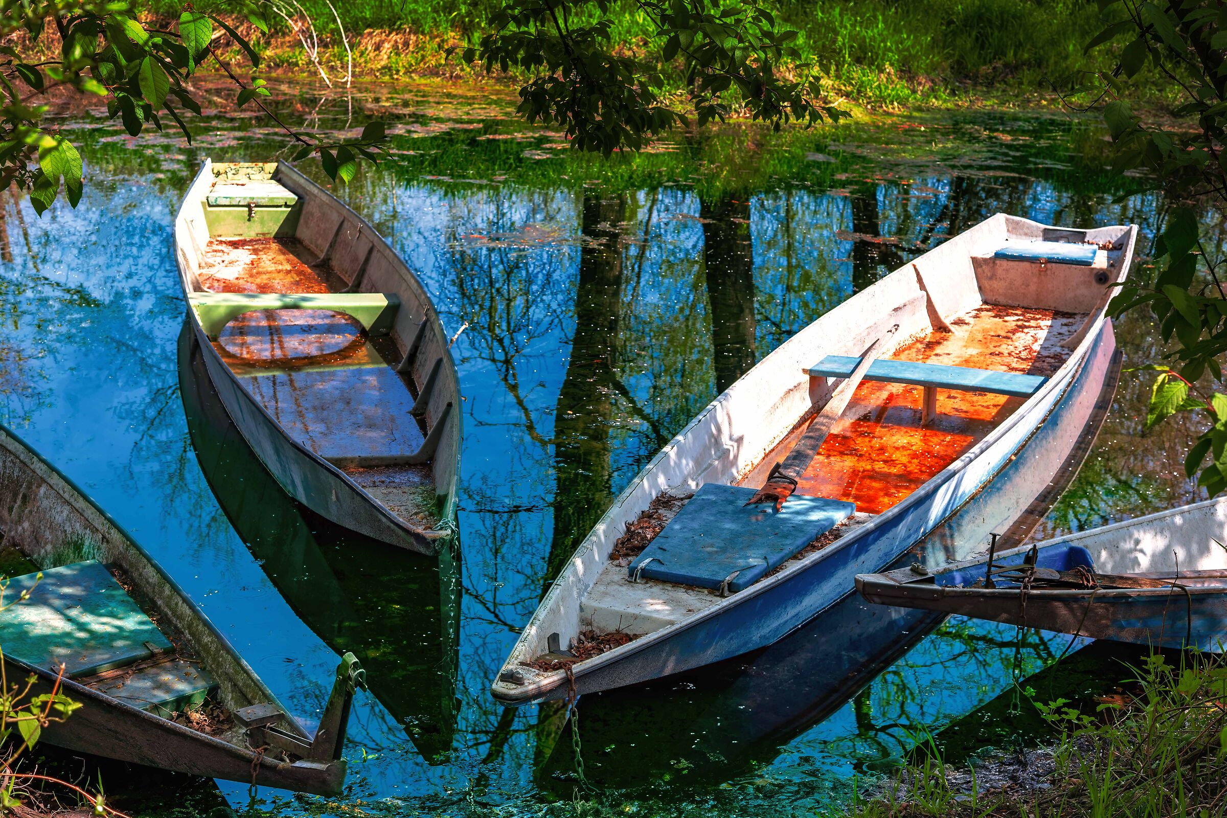 Colori XVI (Ritorno al fiume)