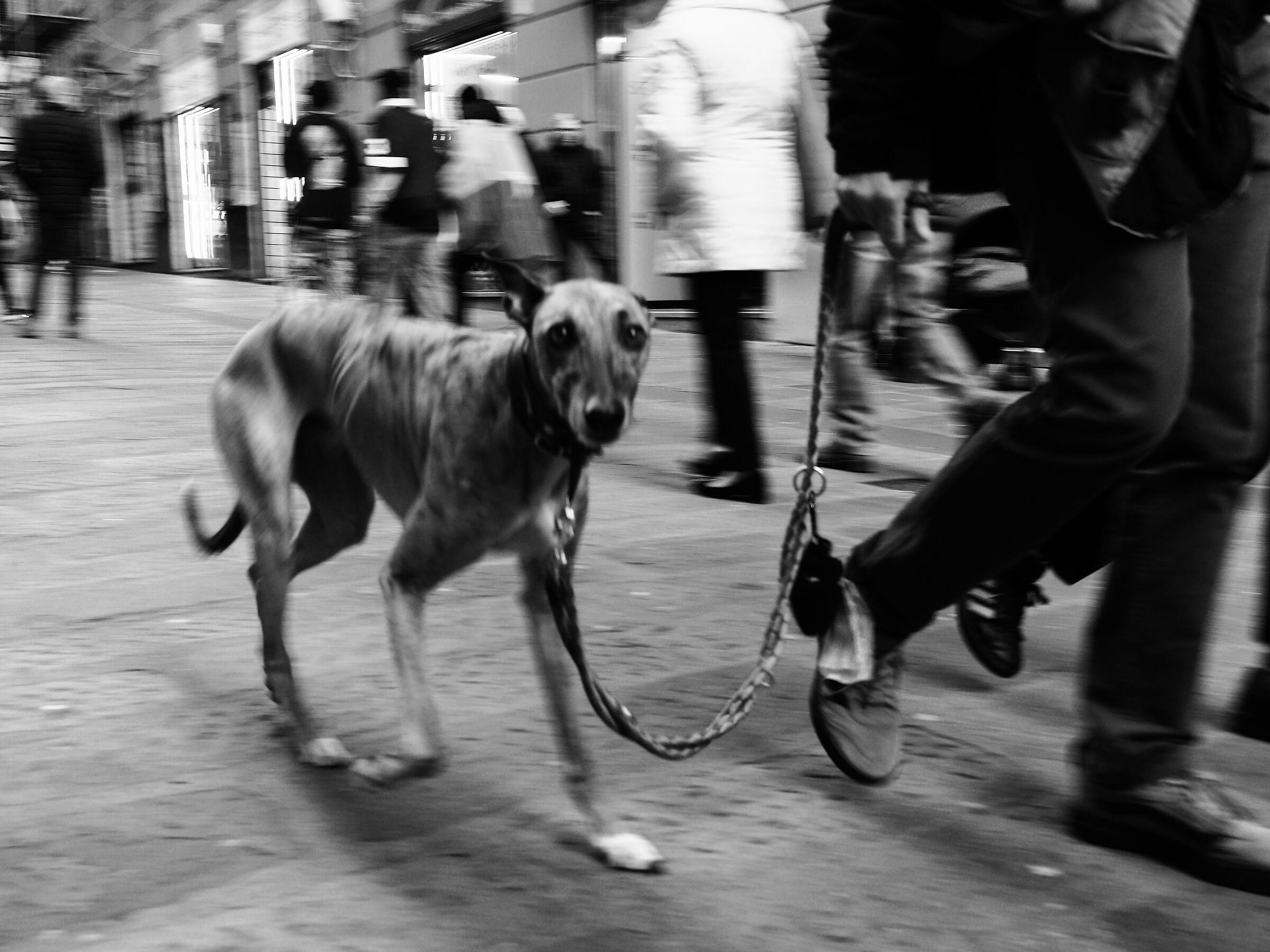 Born to run, he asks for help