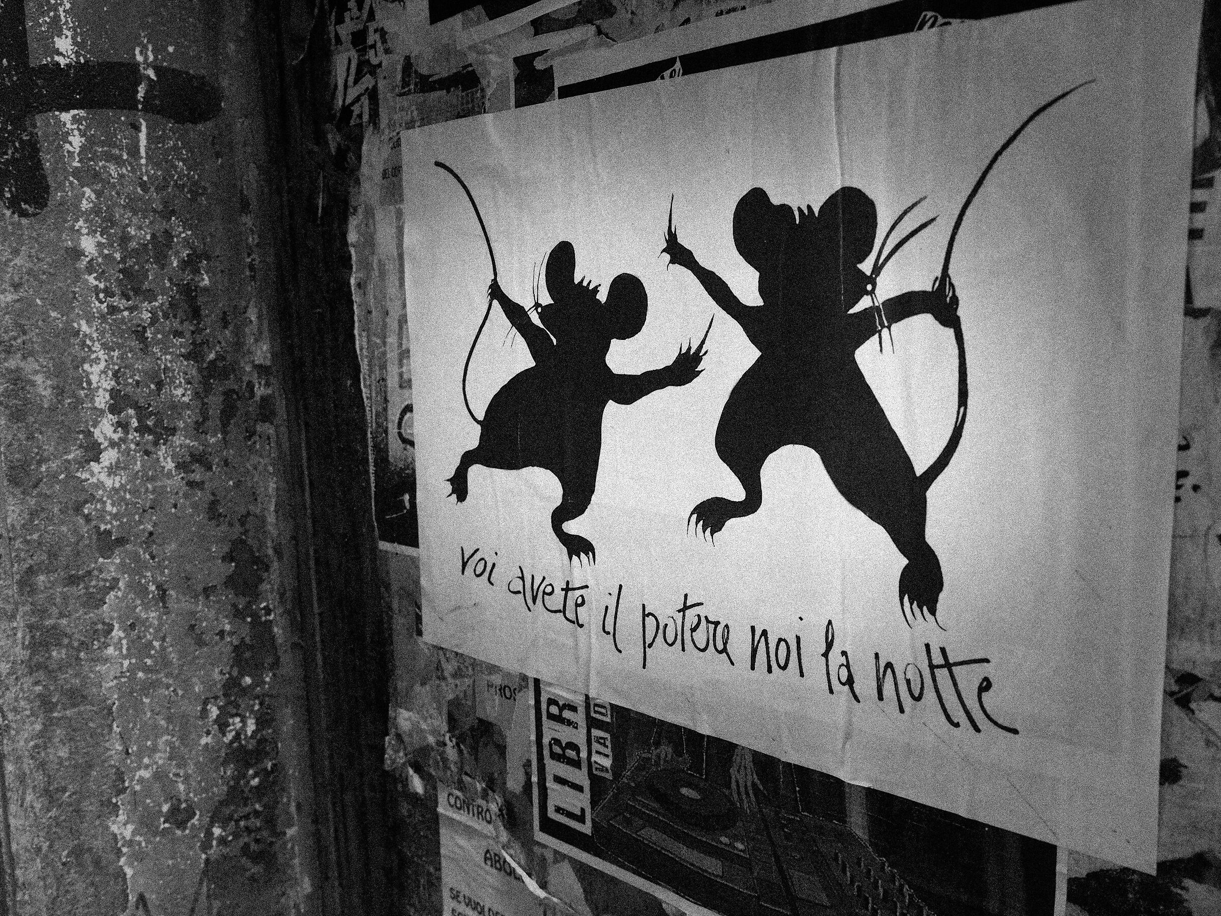 We, we have, the night.