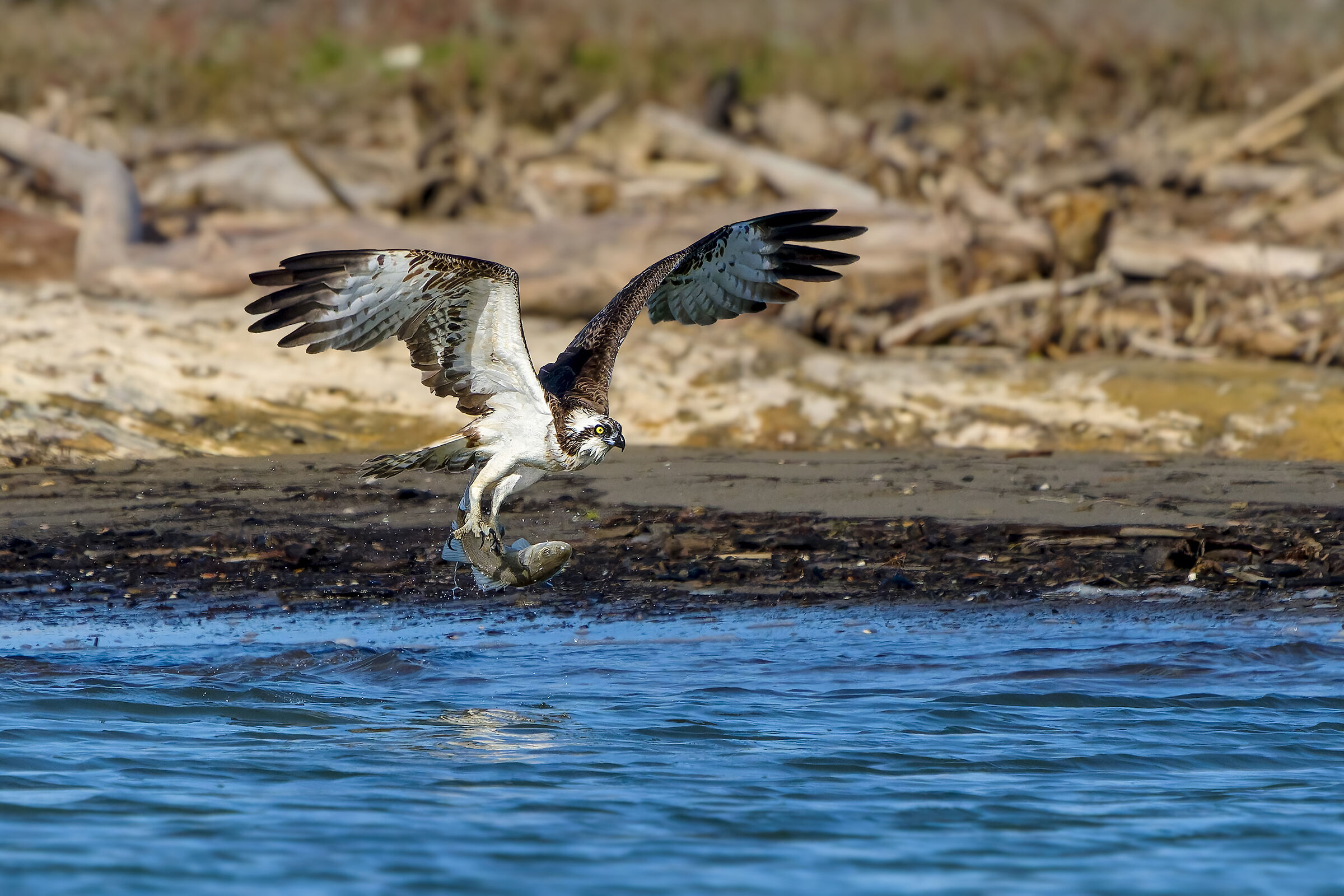 Fisherman's Fishing