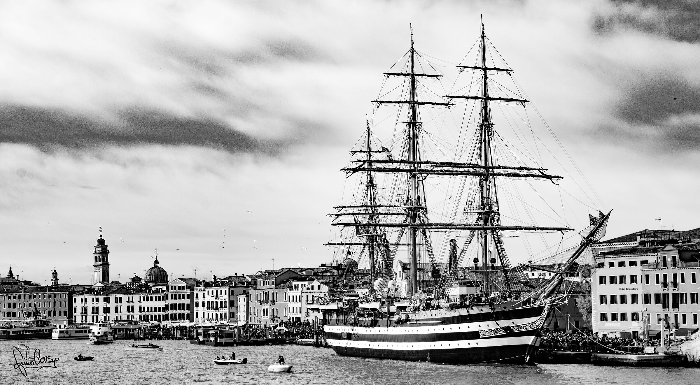 Illustrious guest in Venice