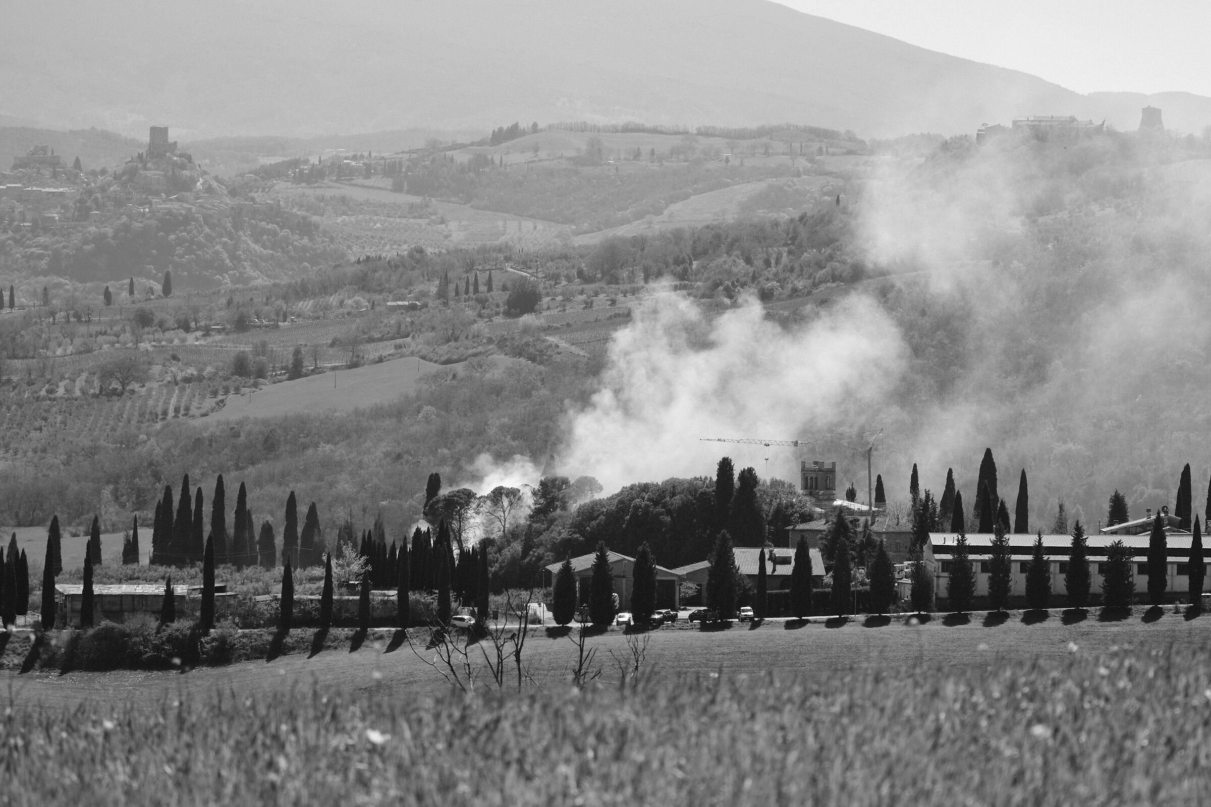 Cal d'orcia detail