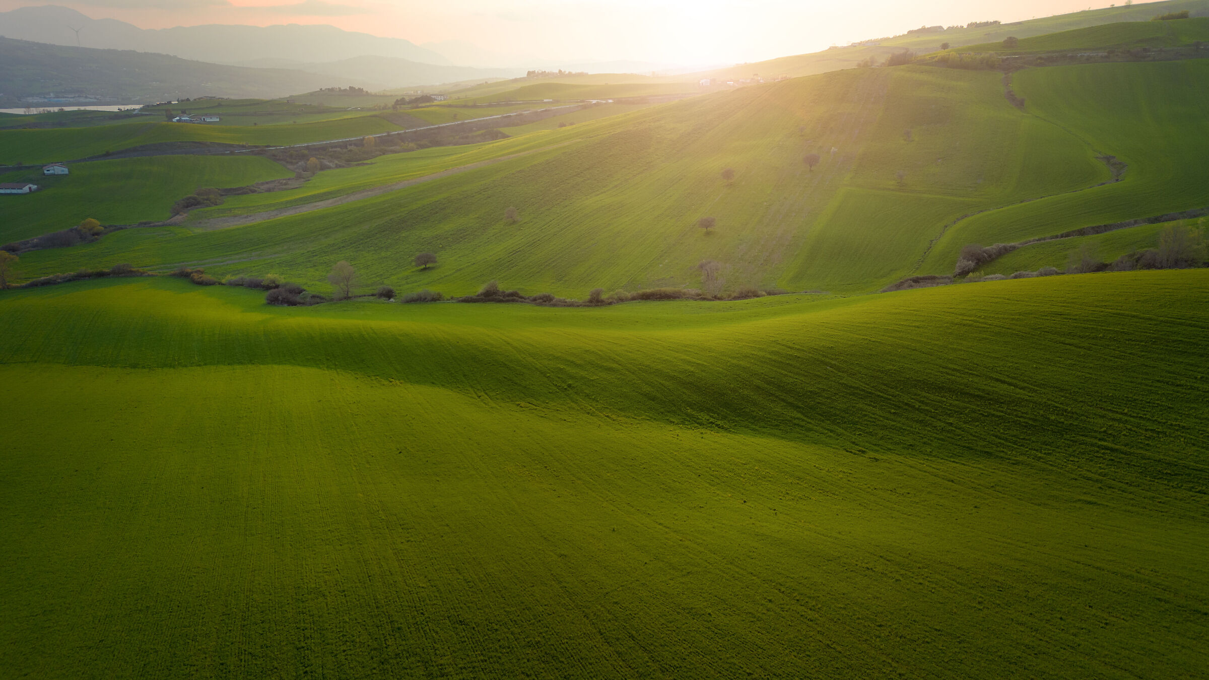 Green sea