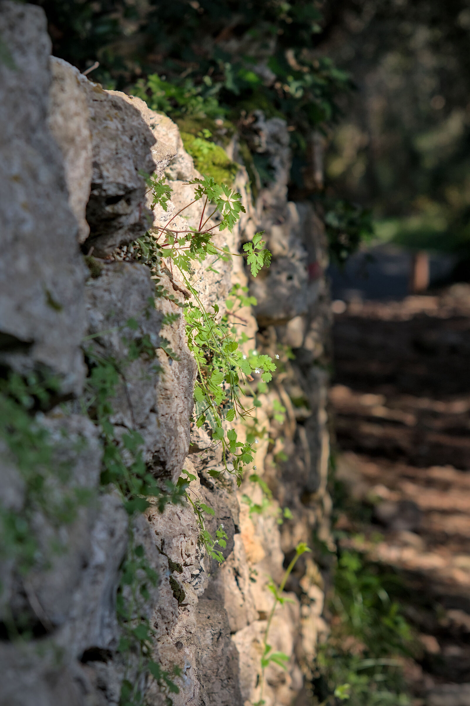 La natura prende ciò che è suo