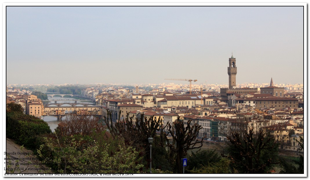 Florence & its bridge