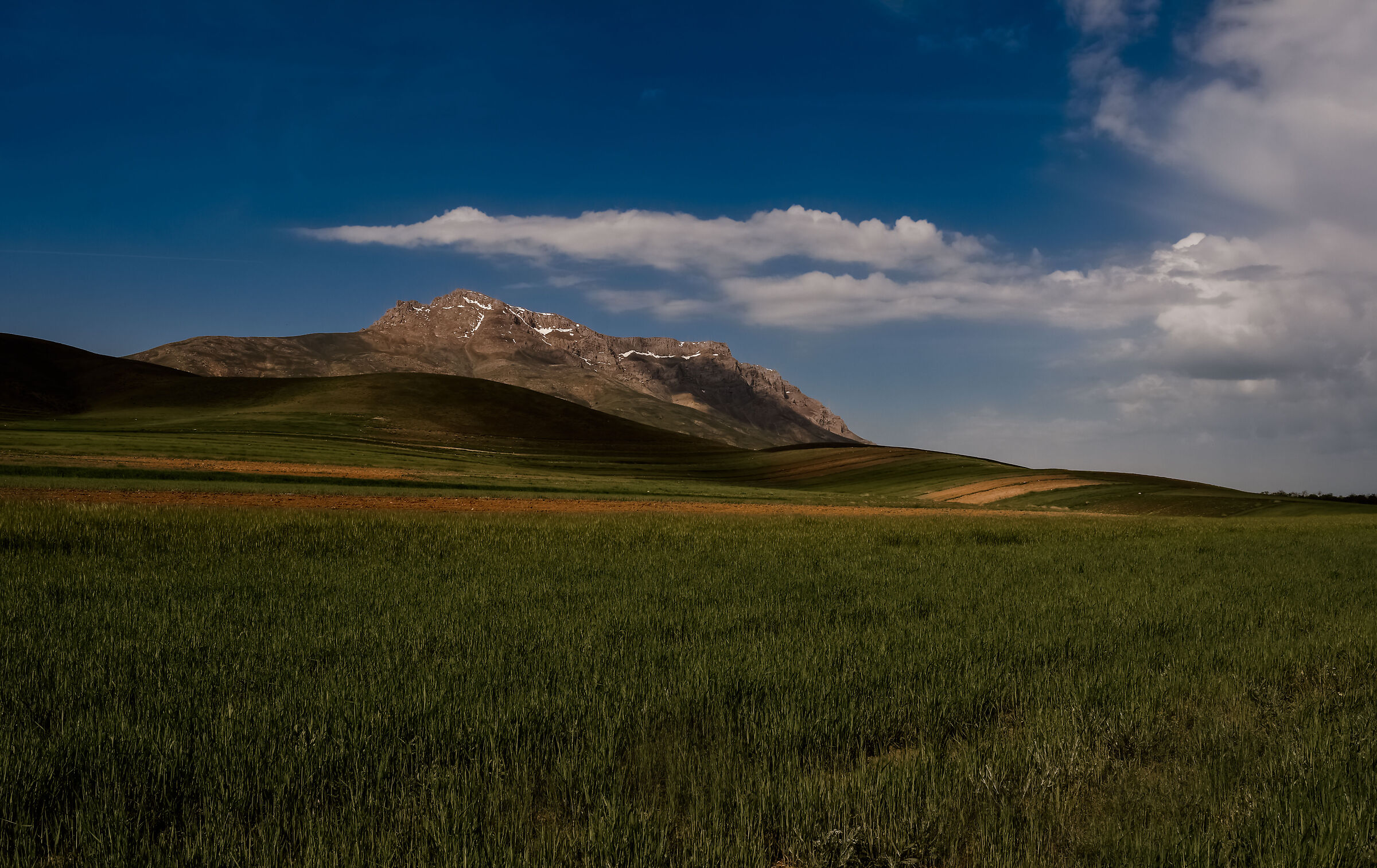montin khangormaz