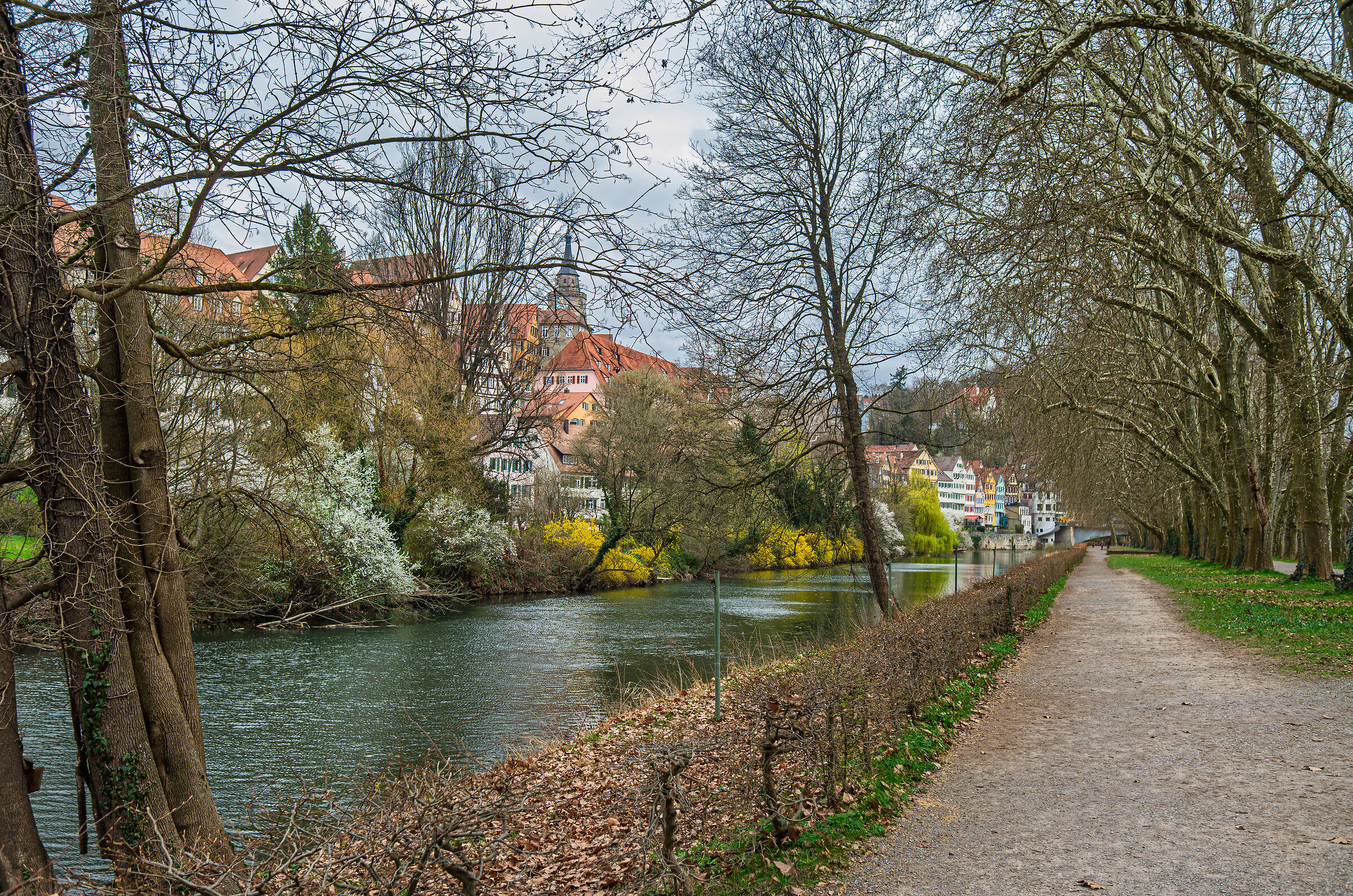 Tübingen
