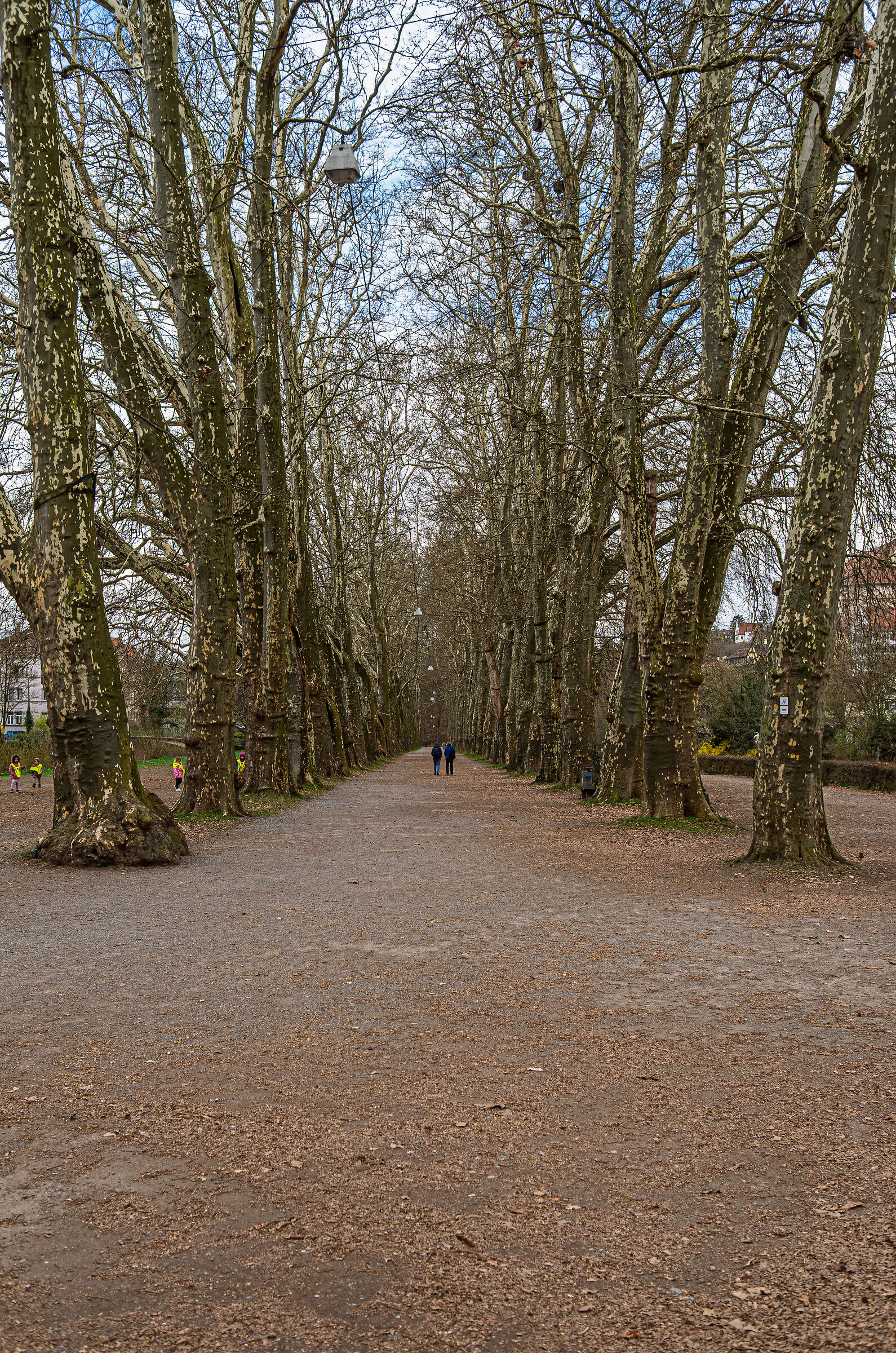 Tübingen