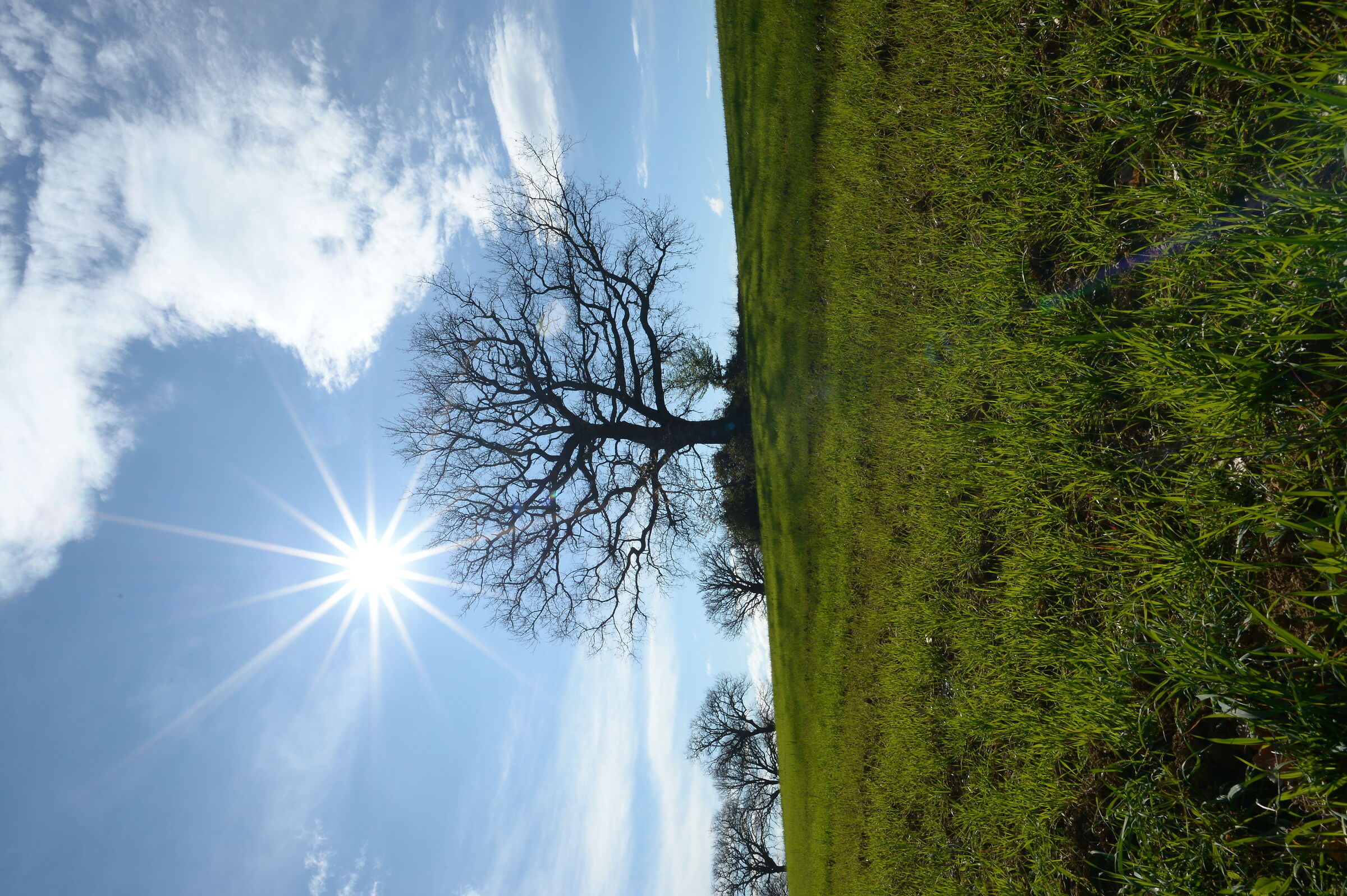 First glimpses of Spring