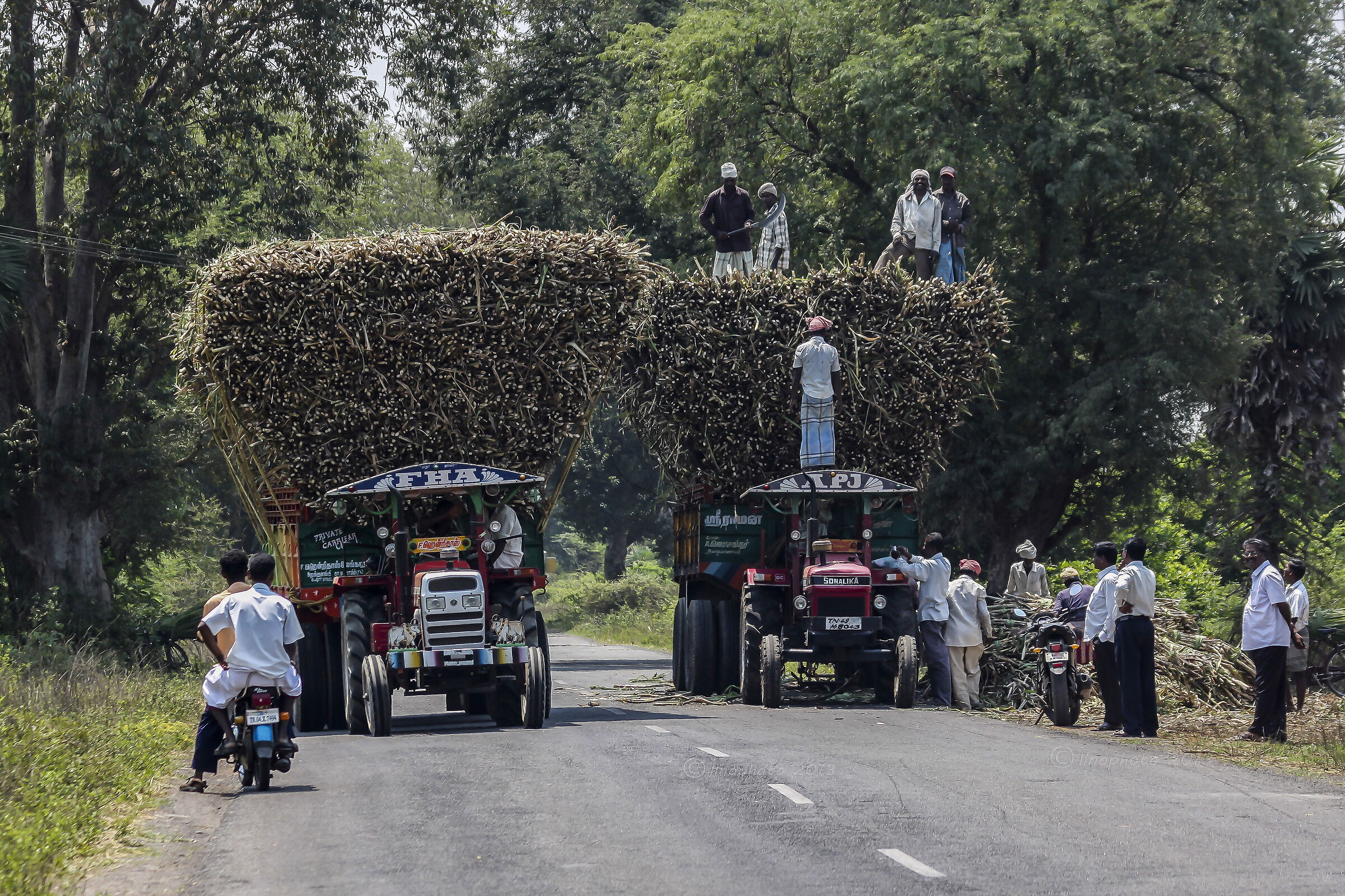 Lungo le strade del Tamil Nadu India del Sud
