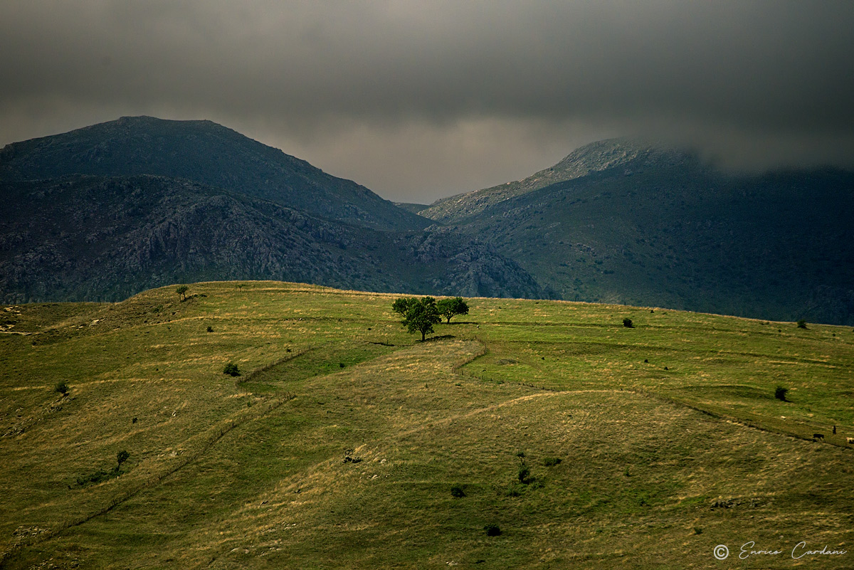 Forse vien da piovere!