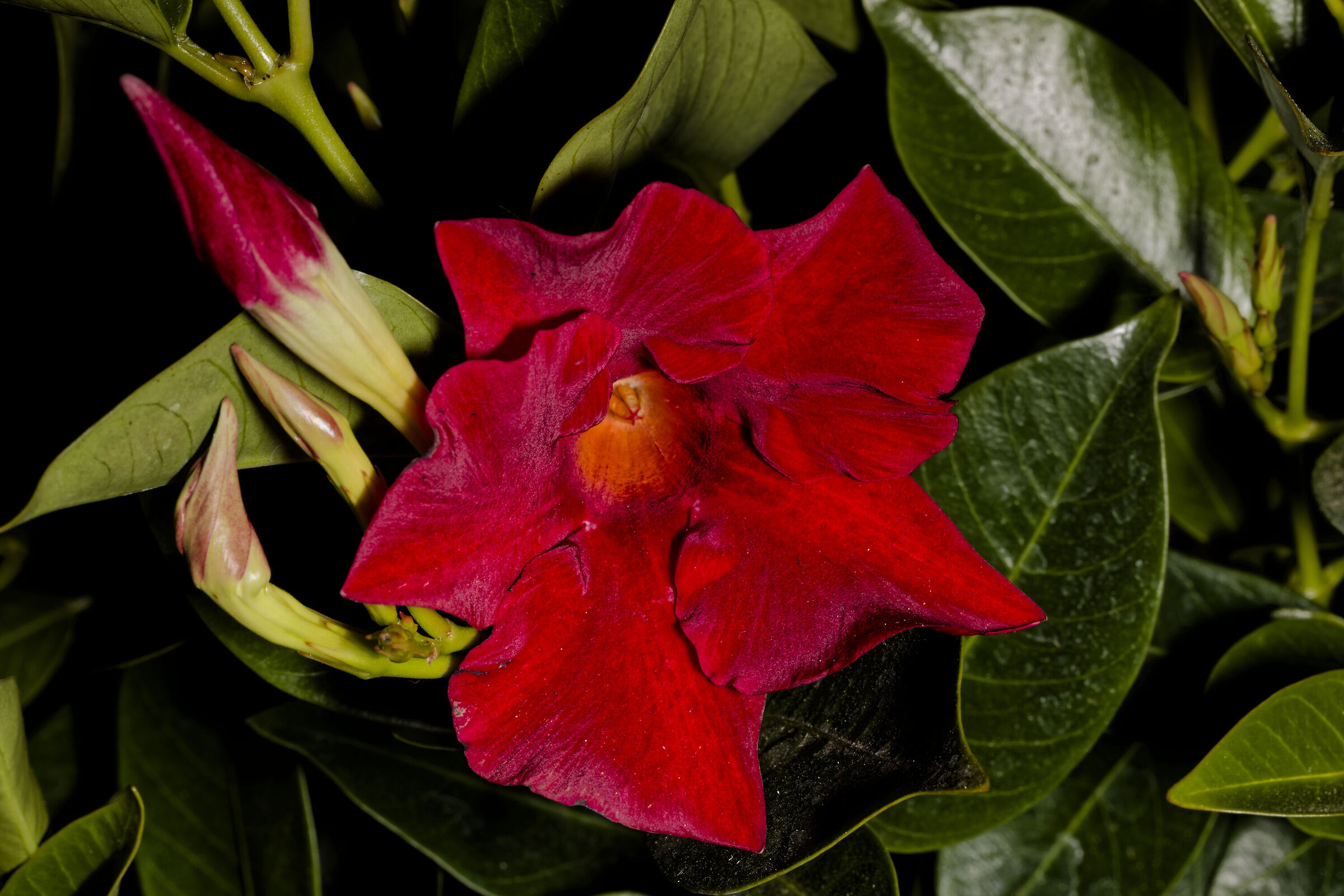 Spring is coming, and so is gardening