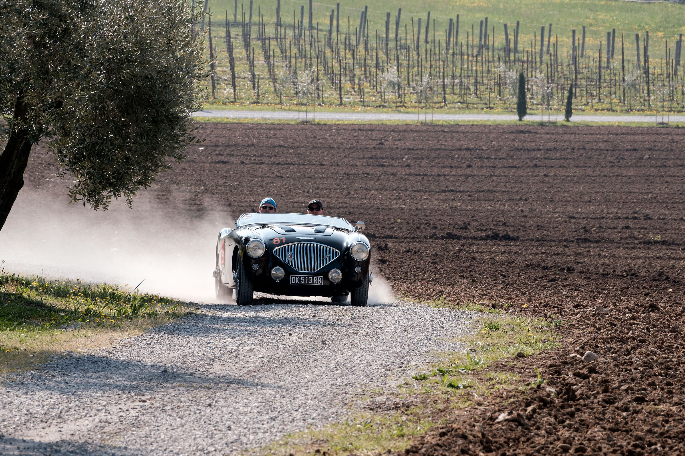 Autin Healey  100/4 BN2