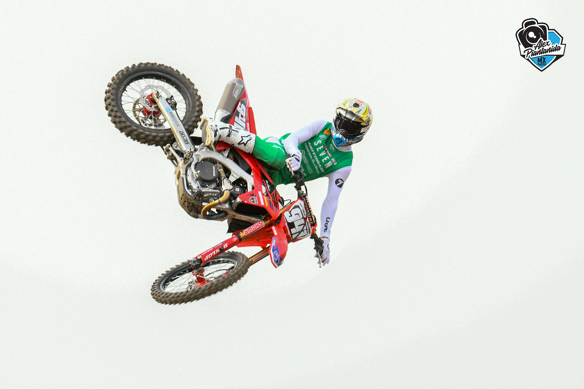 Angelo Pellegrini  #941