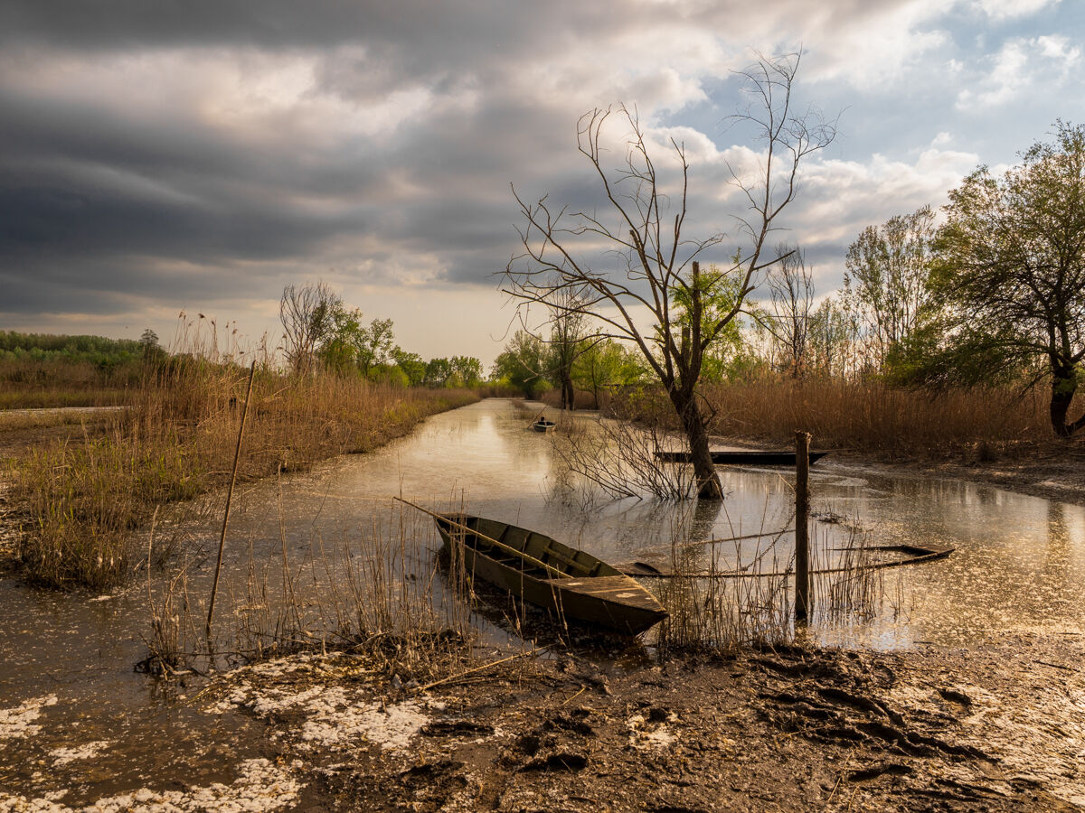 Colpita ed affondata