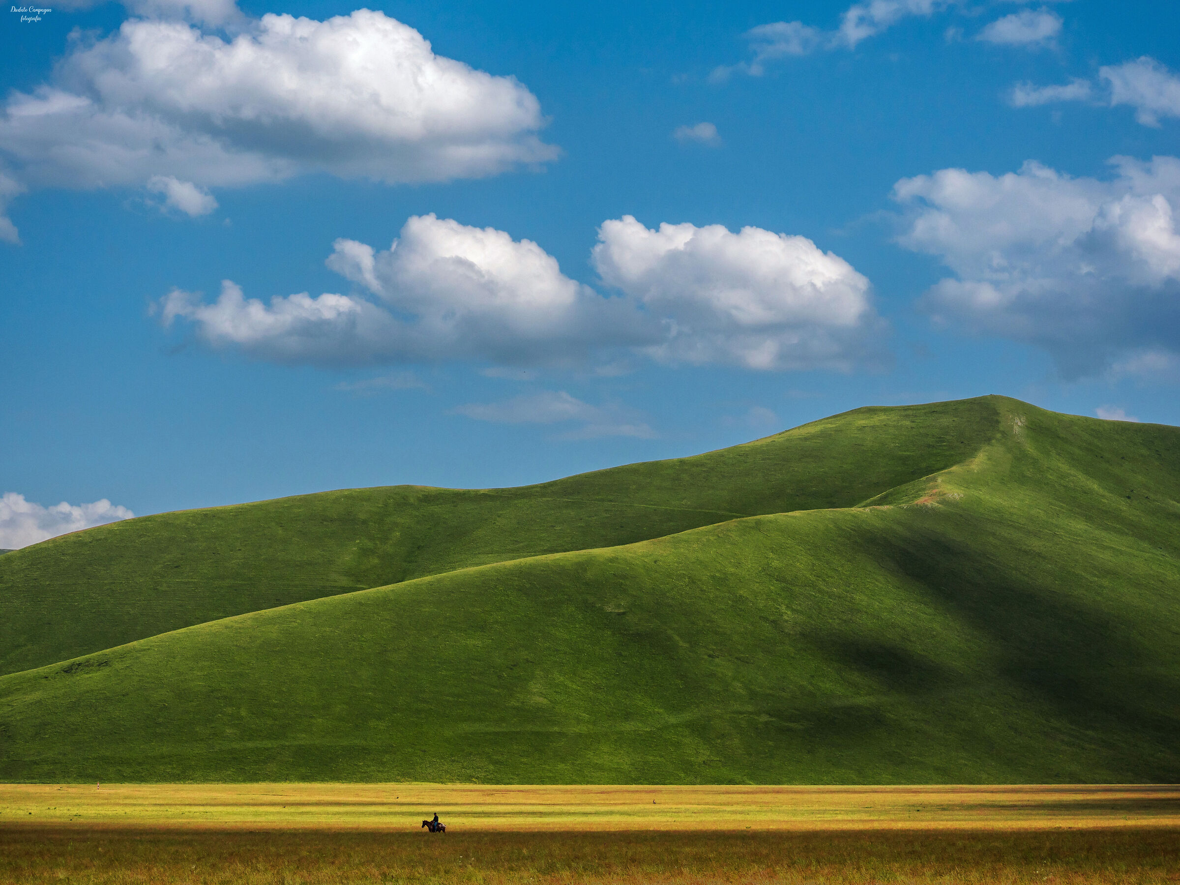 Il cavaliere solitario