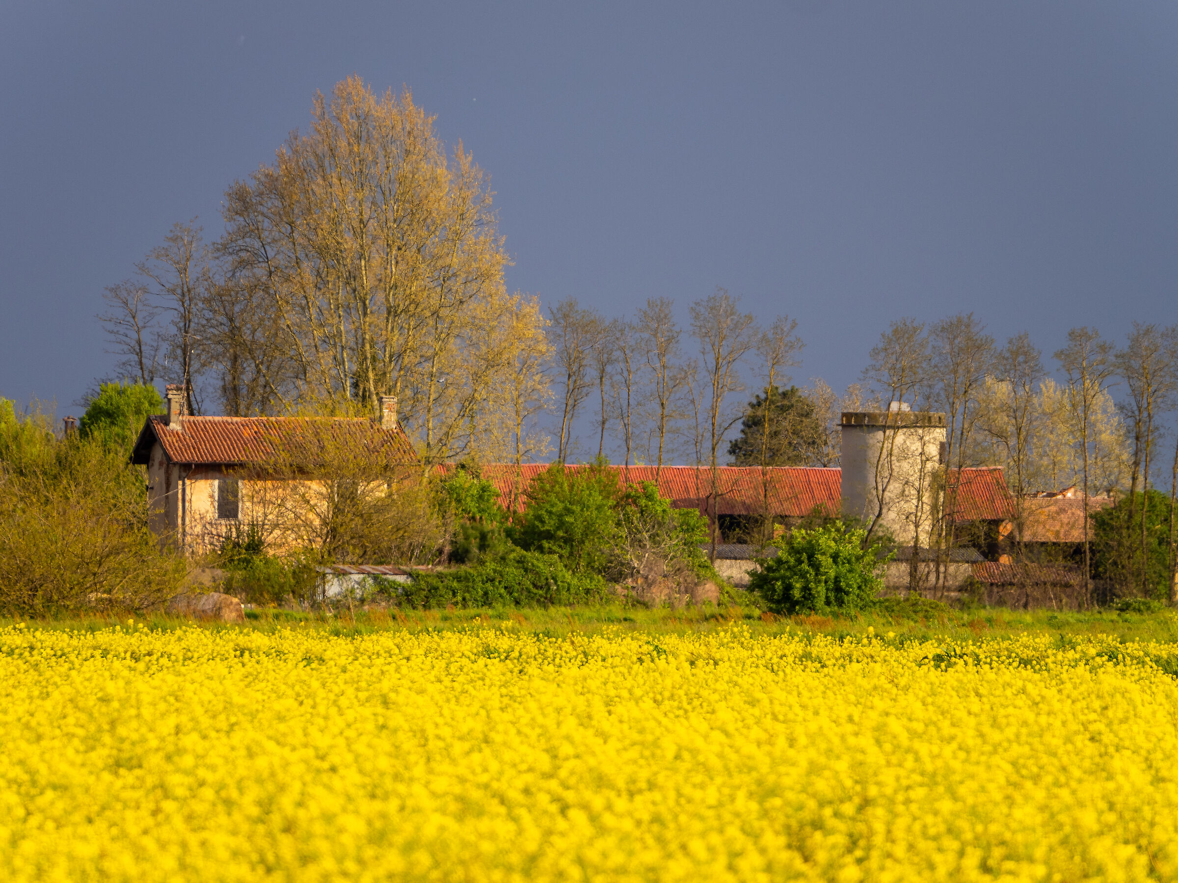 Thunderstorm Contrasts