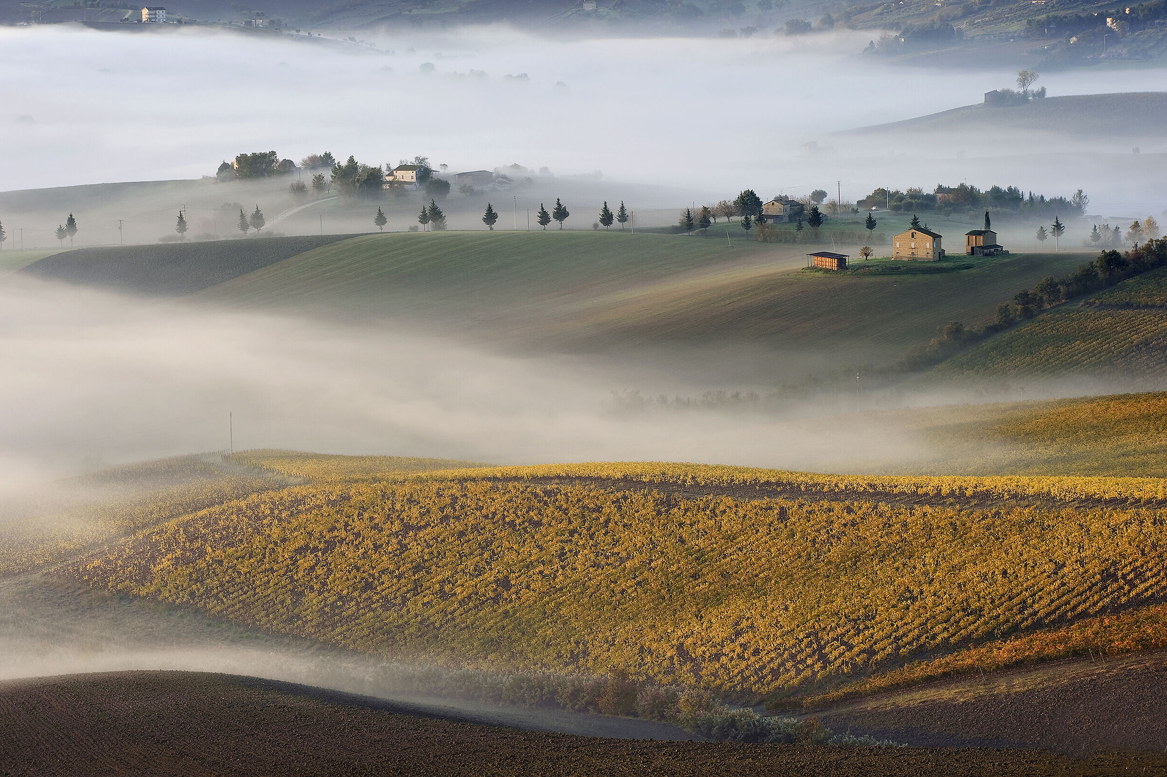 Mists at the bottom of the valley