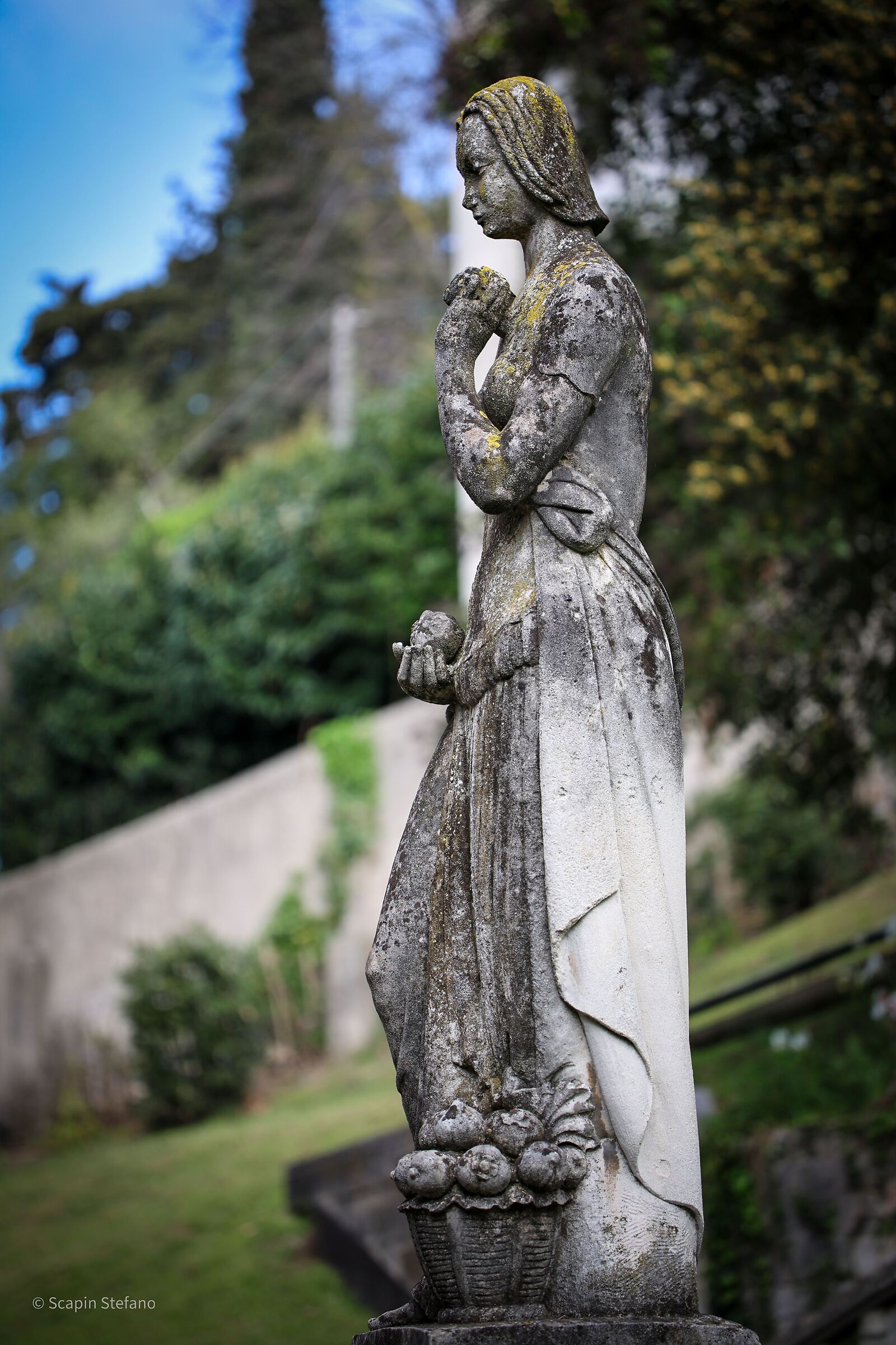 Statua del parco