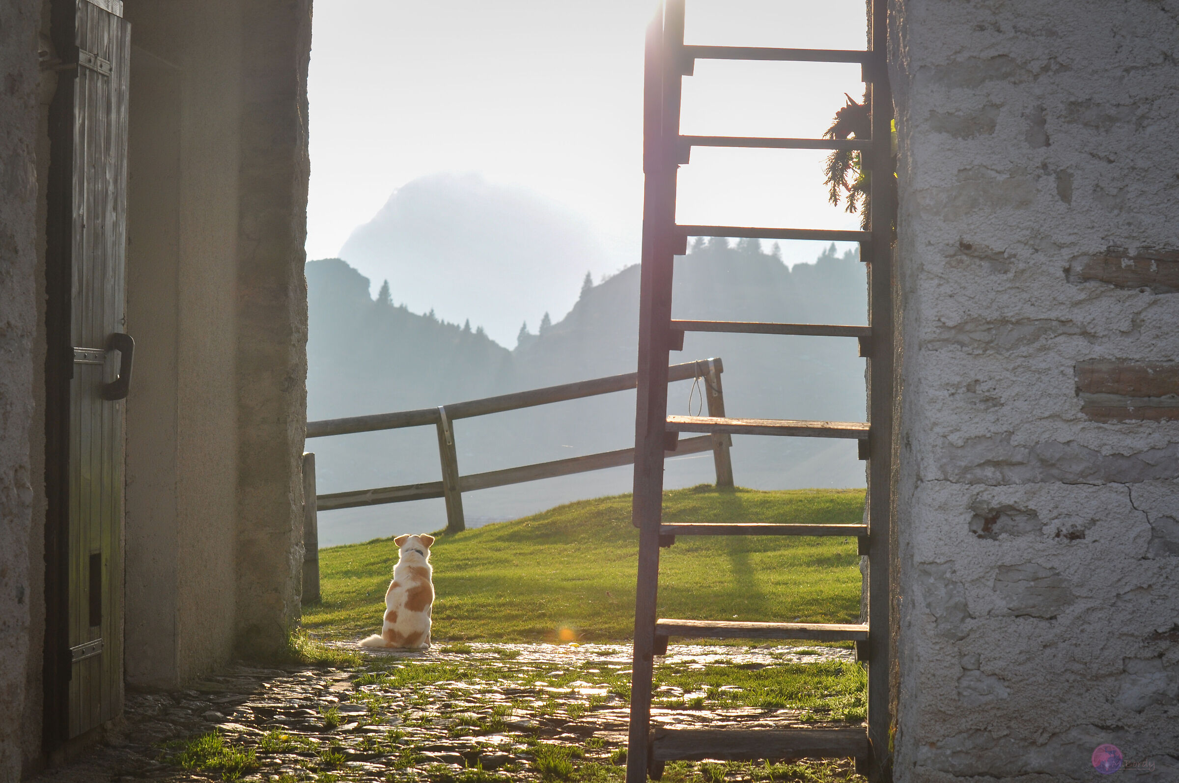 Seduto a guardare mentre il sole va giù....,(Vasco R....