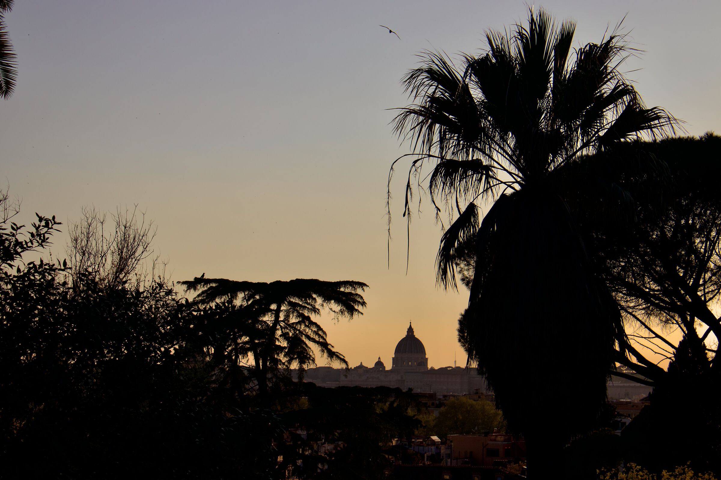 Roma