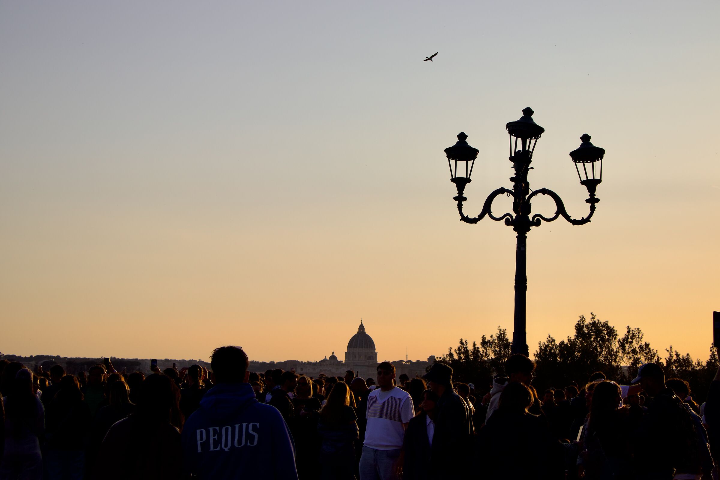 Roma