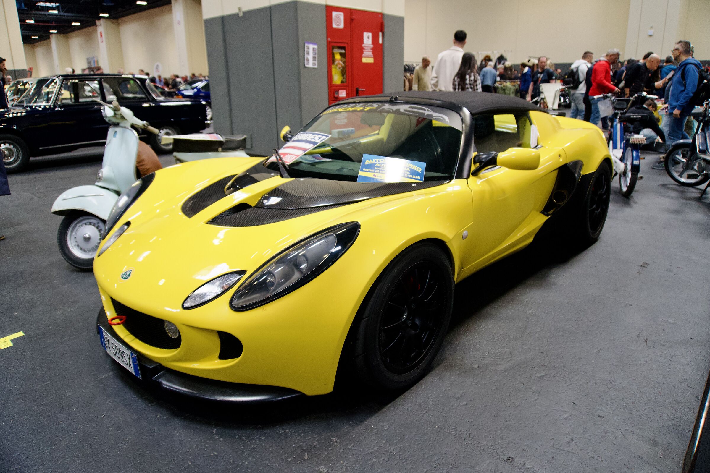 Lotus