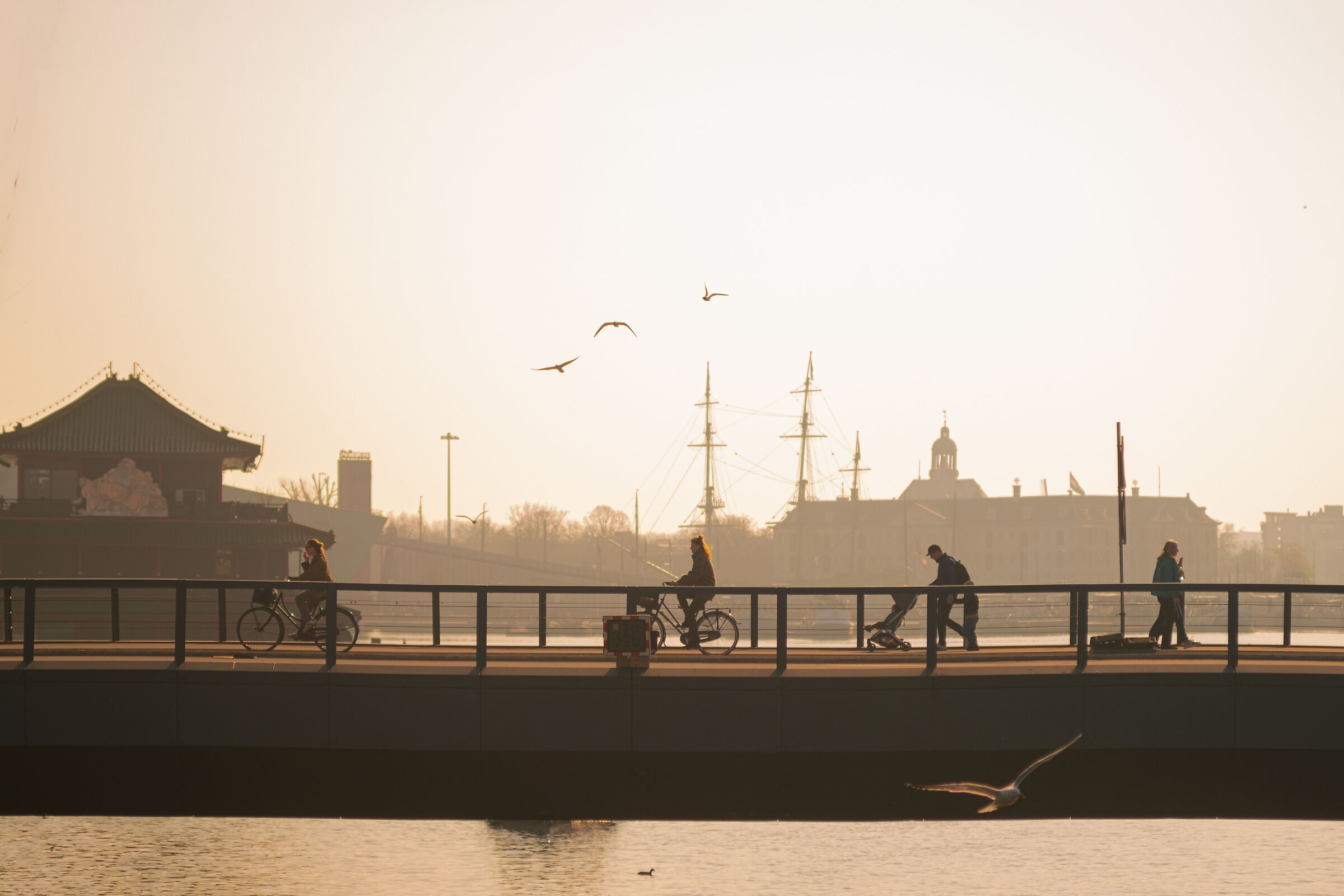 Tramonterdam in Amsterdam #1