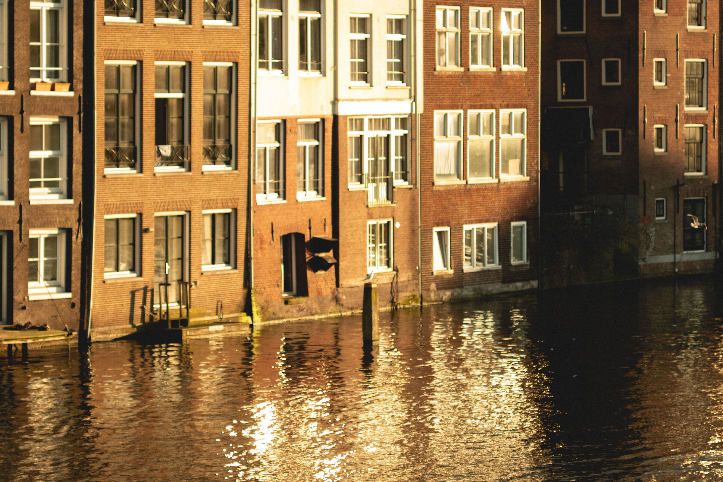 Tramonterdam in Amsterdam #2