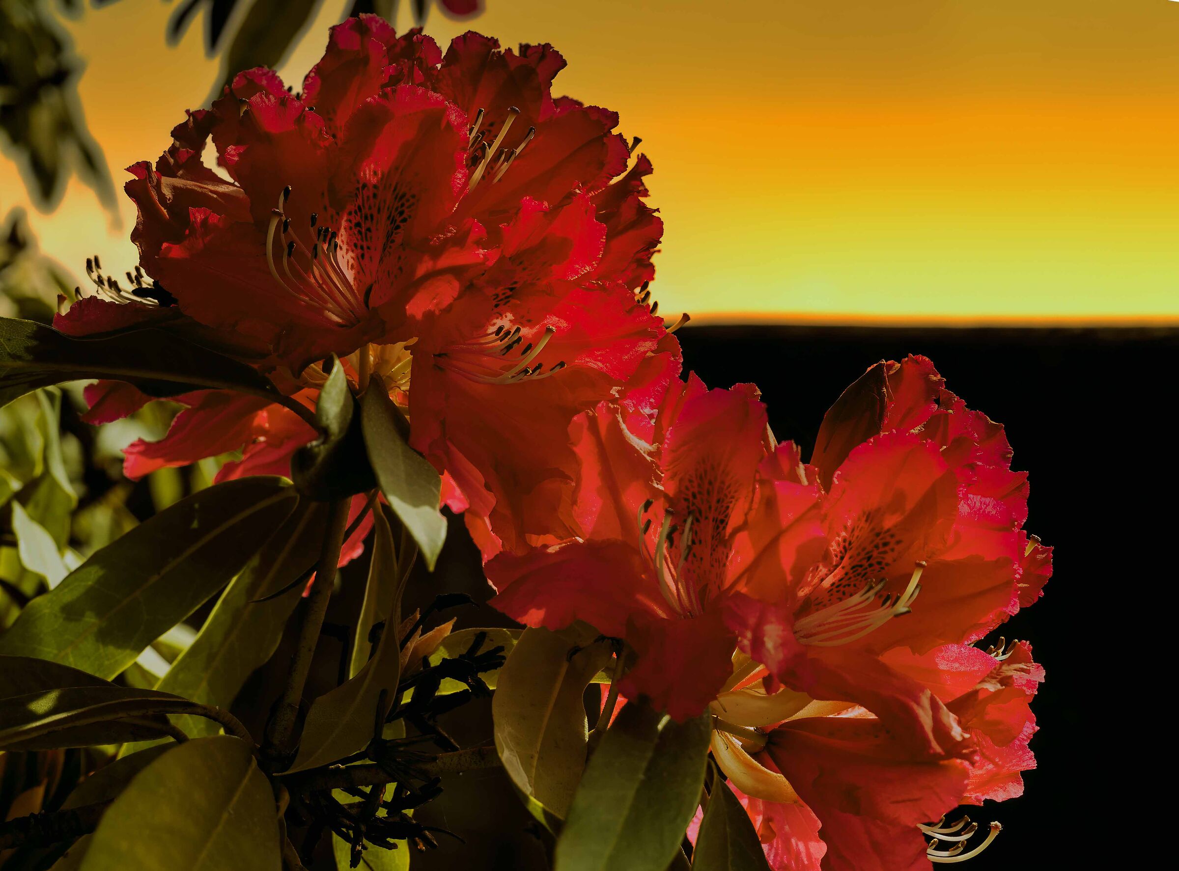 The colors of spring