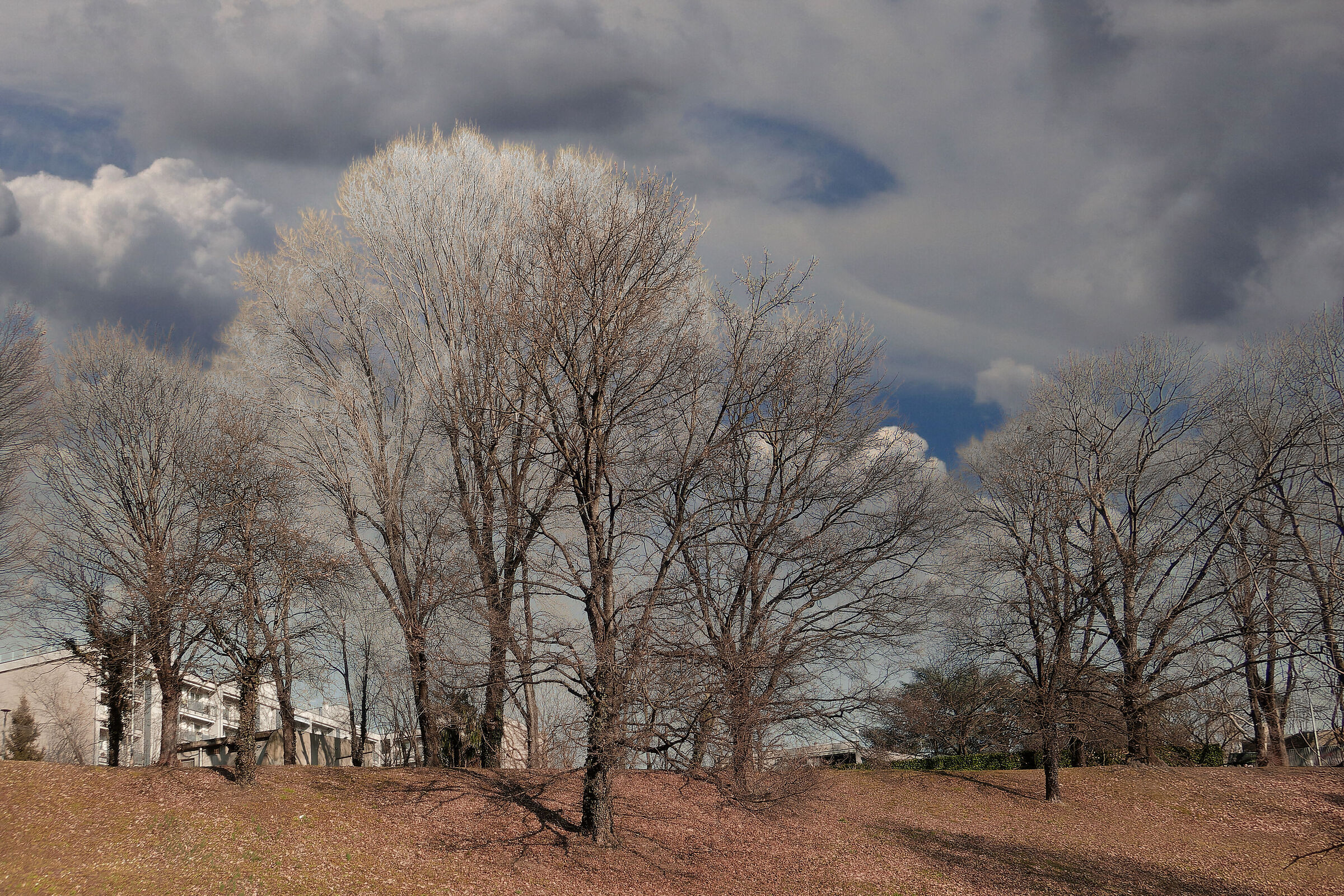 Untitled Photo