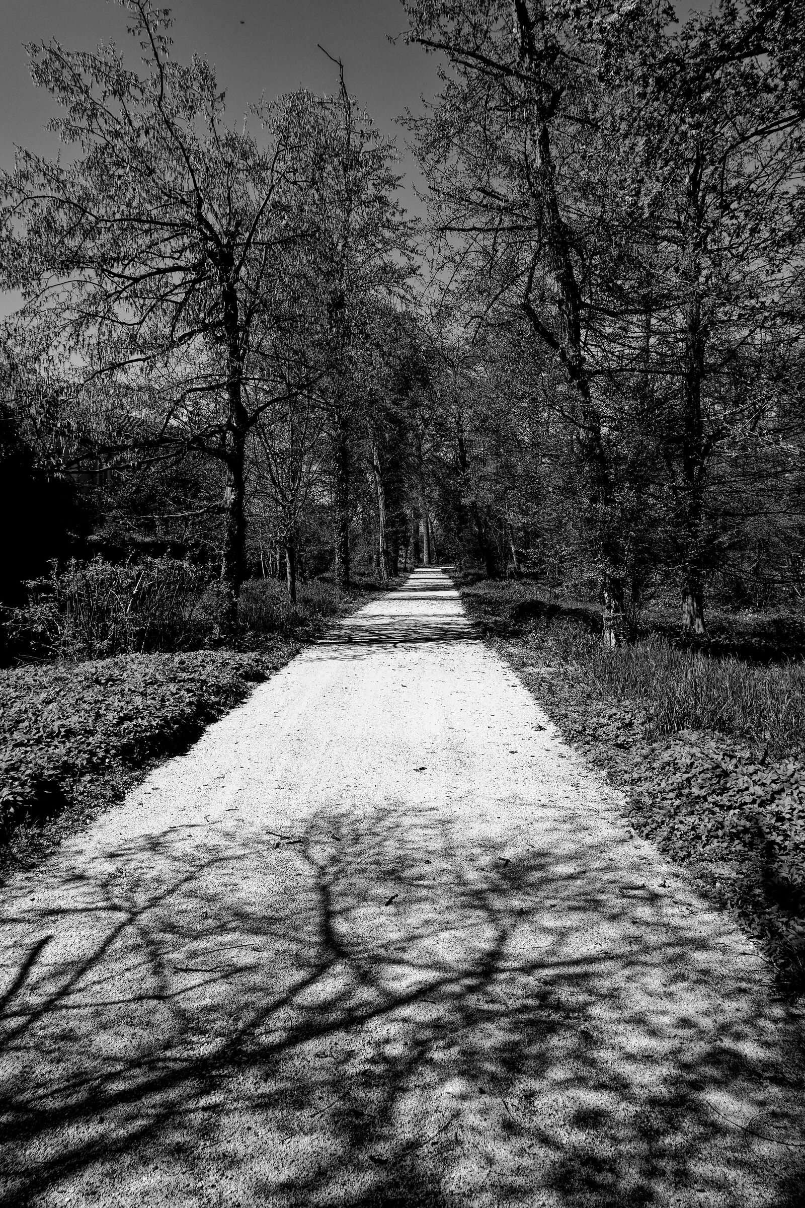 Path