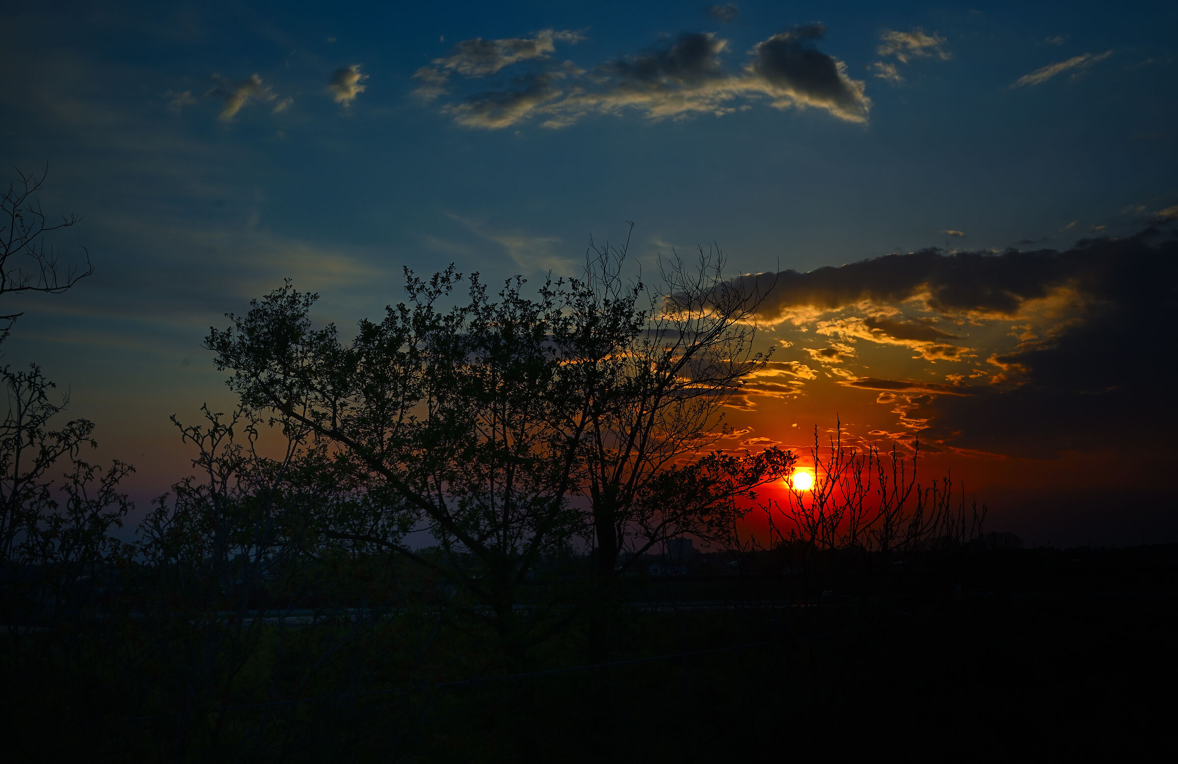 Untitled Photo