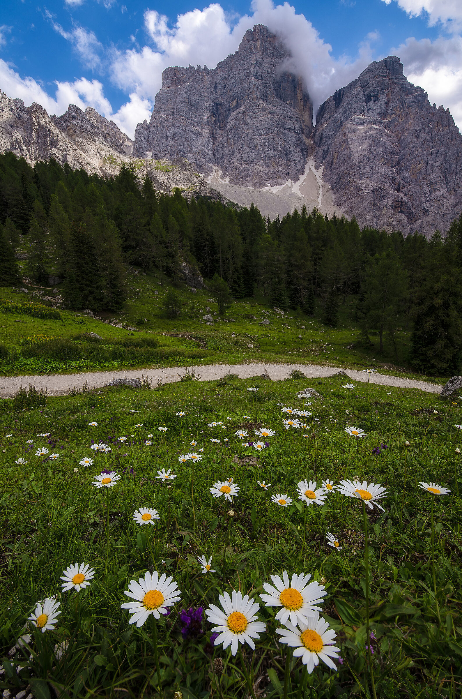 Afternoon under the Pelmo