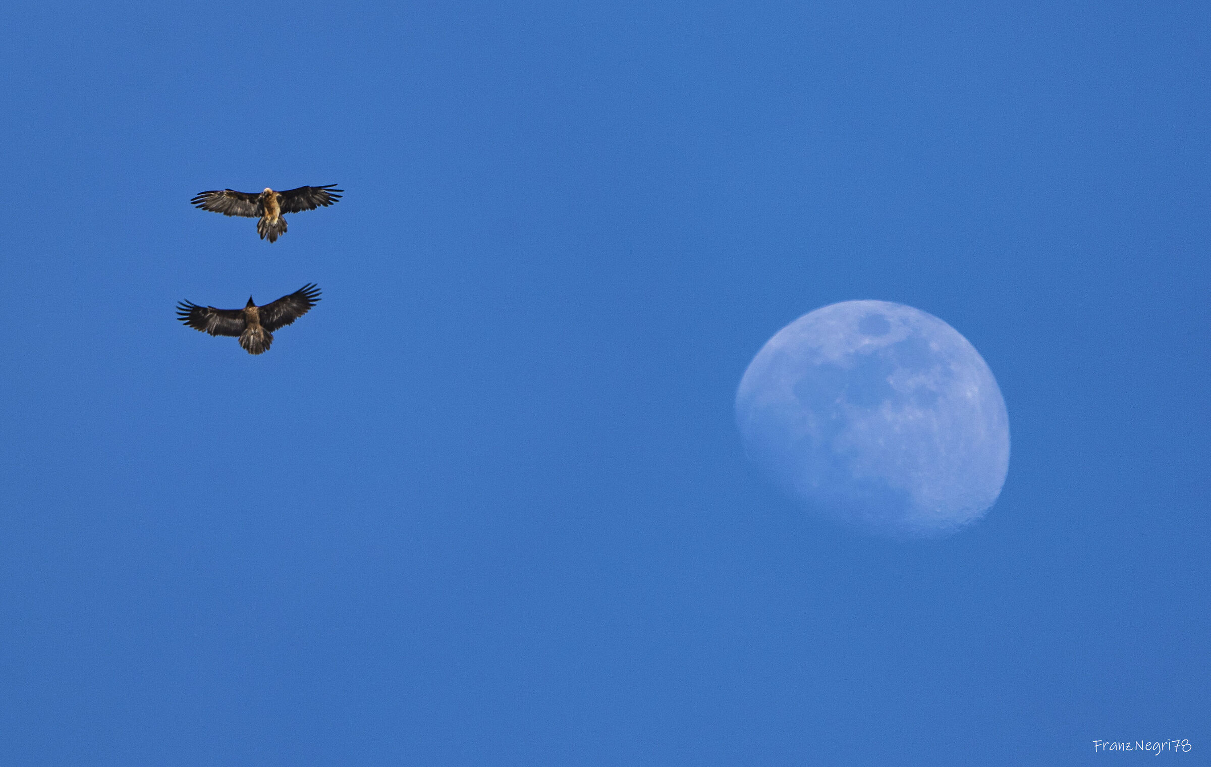 Giochi davanti alla Luna.