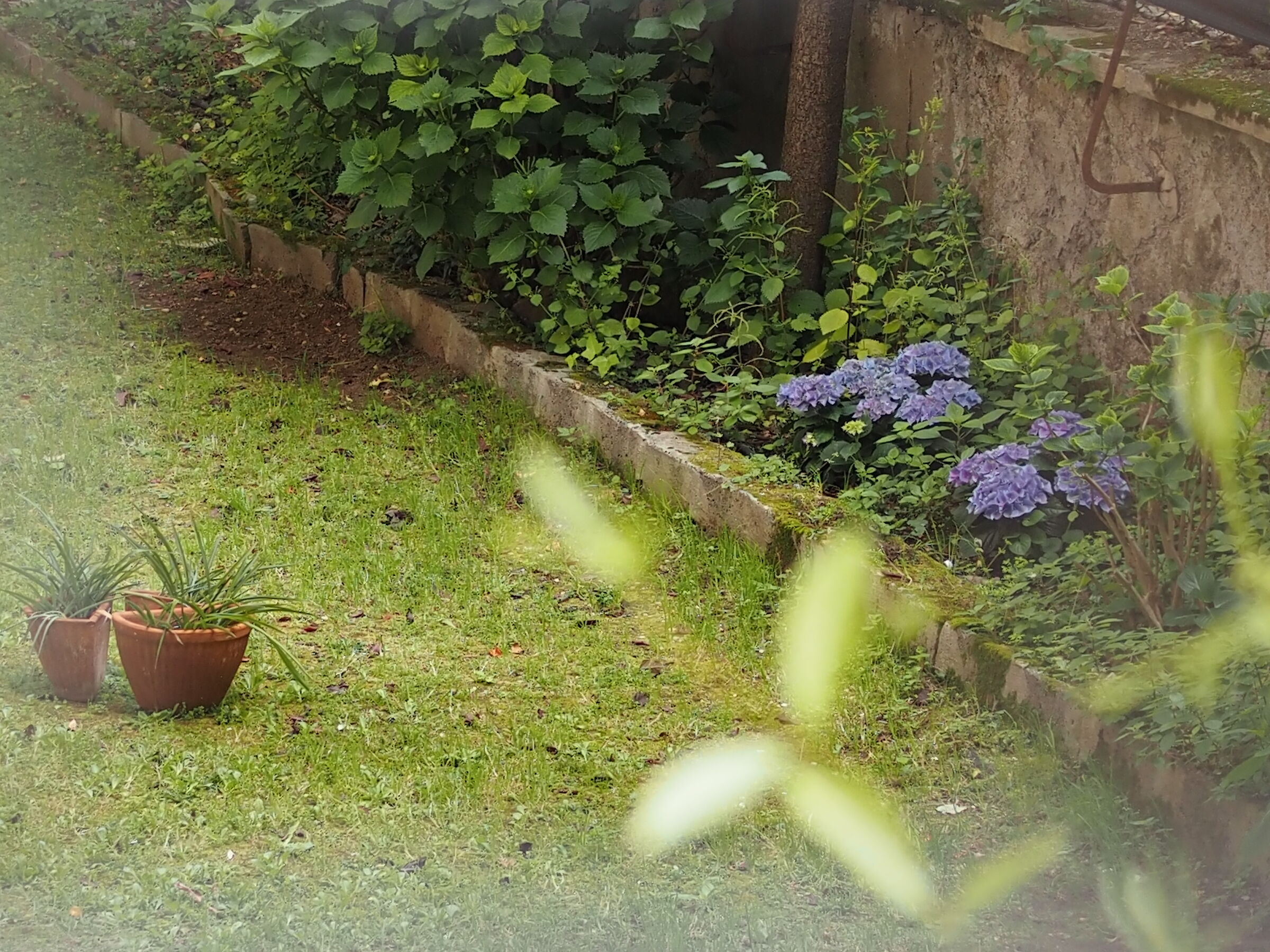 sbirciando in un cortile