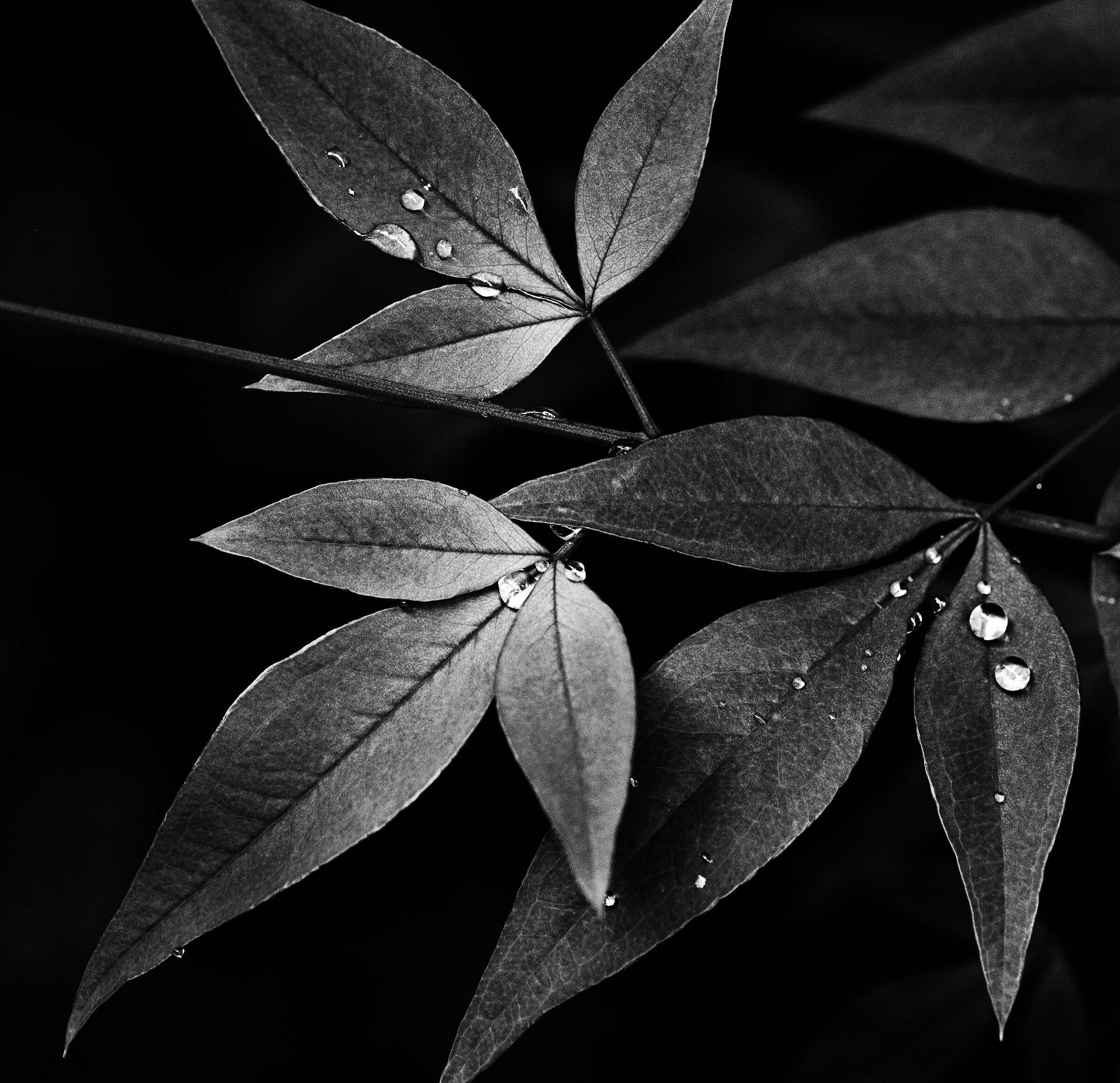 Untitled Photo