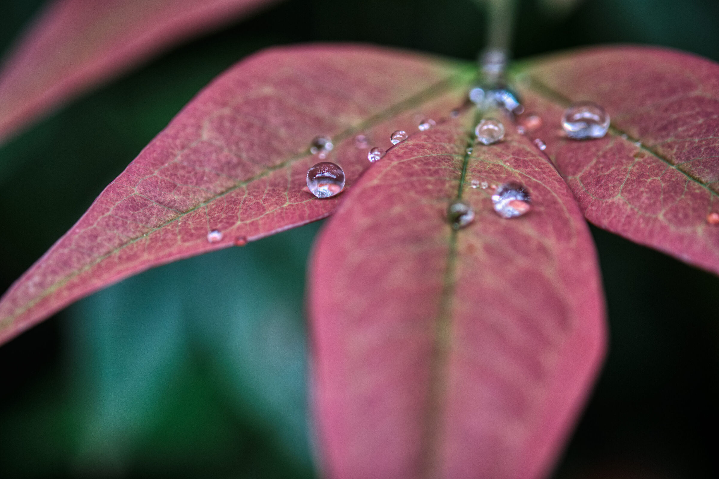 Untitled Photo