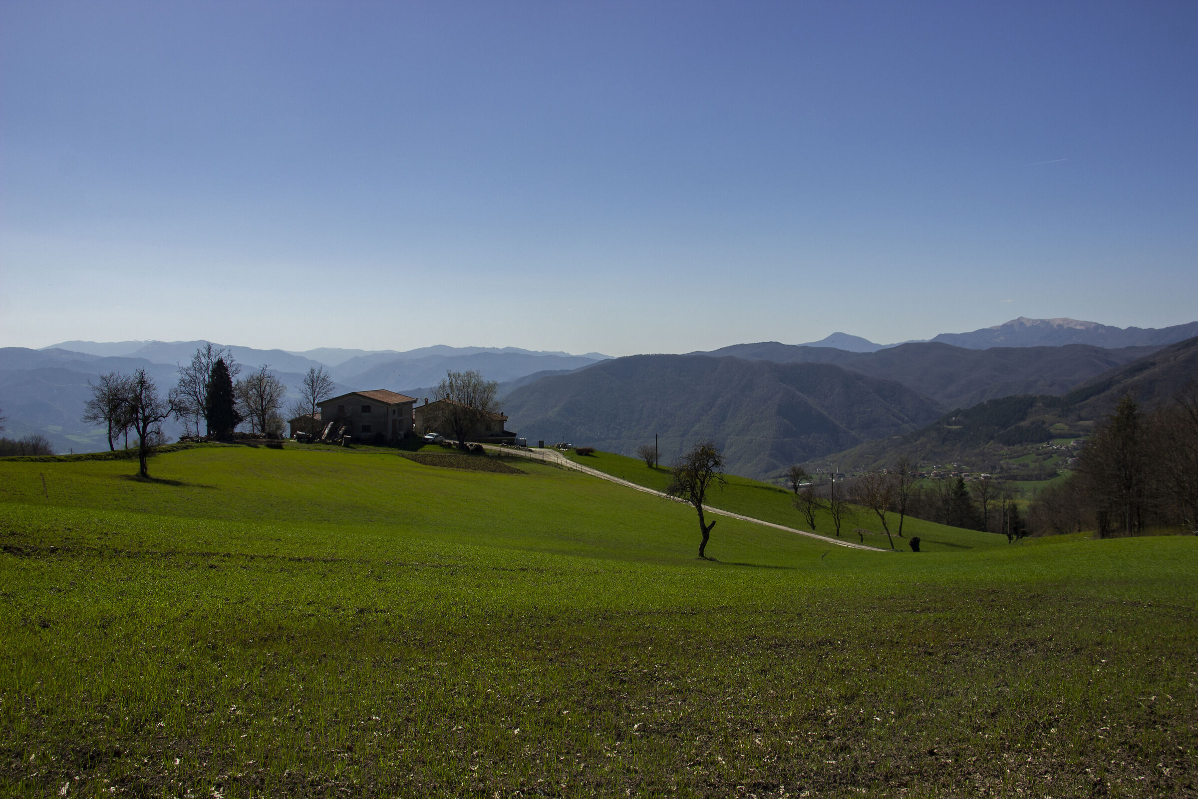 Where I would like to stay