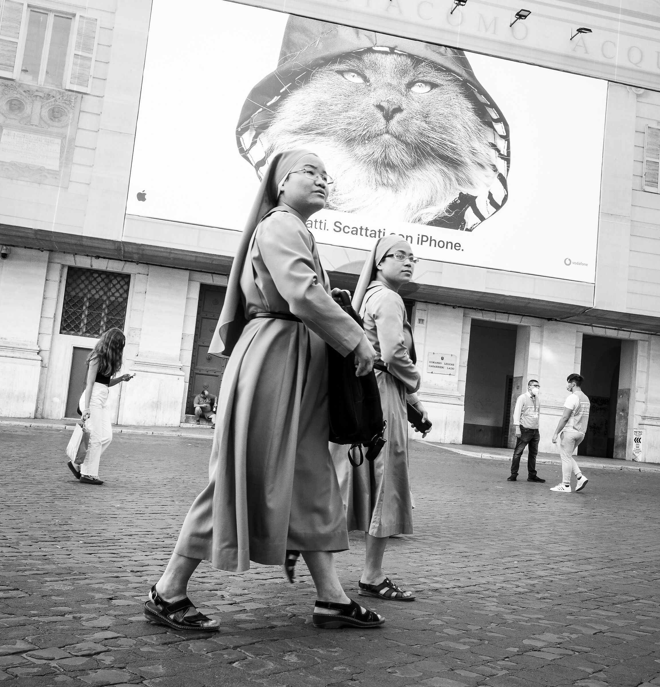 Nuns and cats