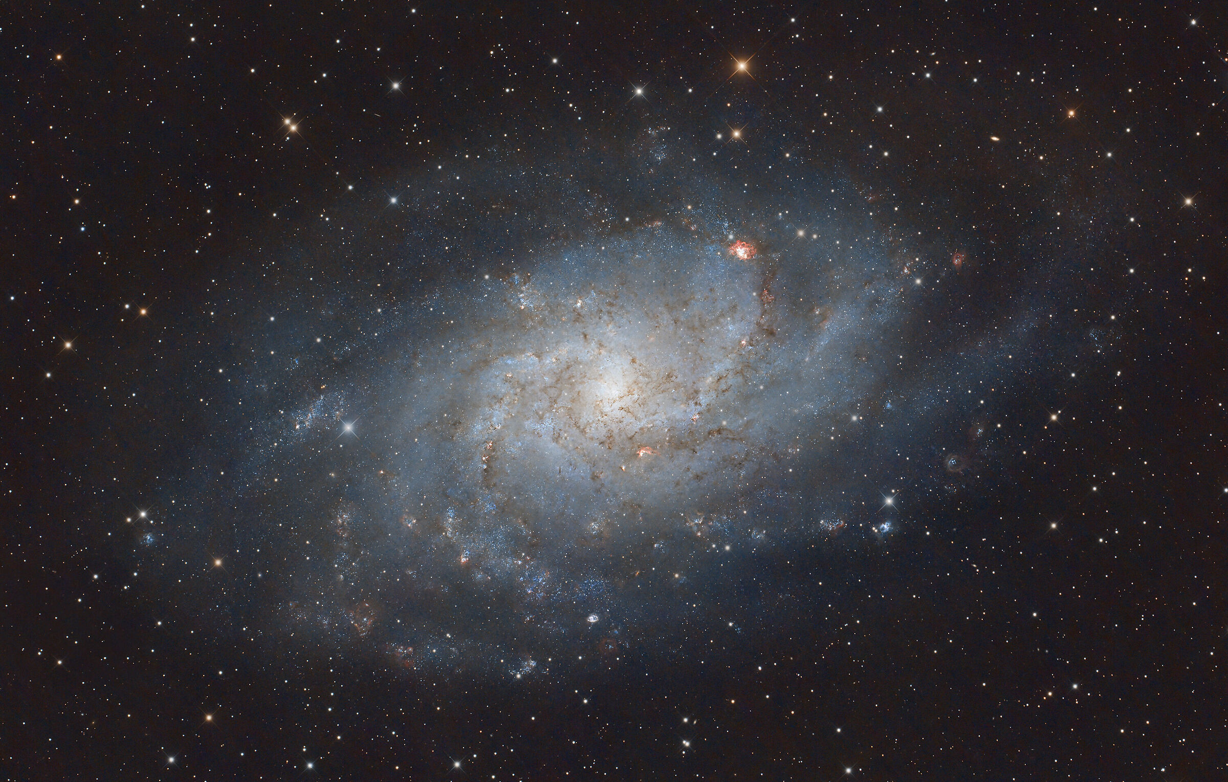 M33