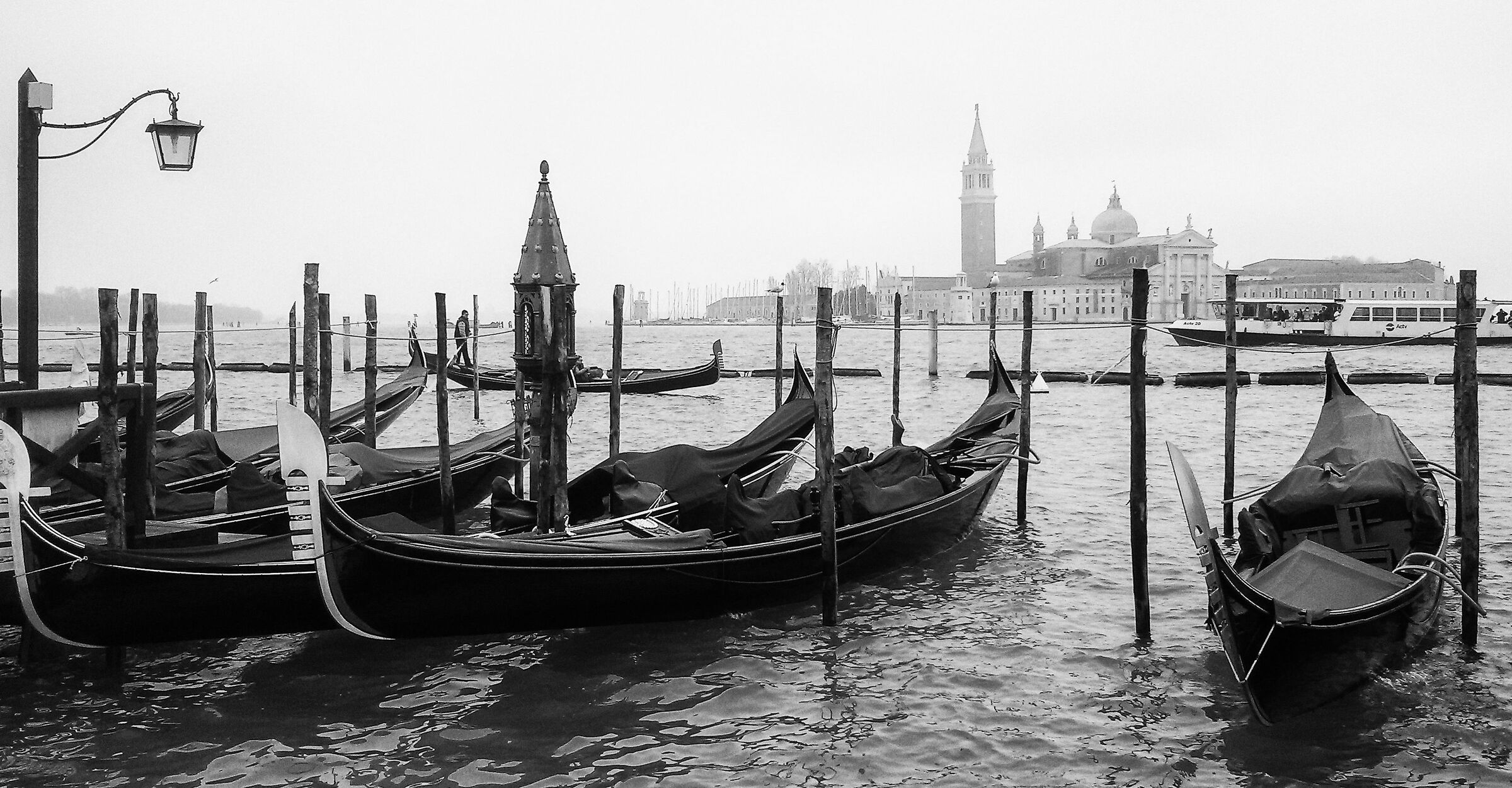 Venezia